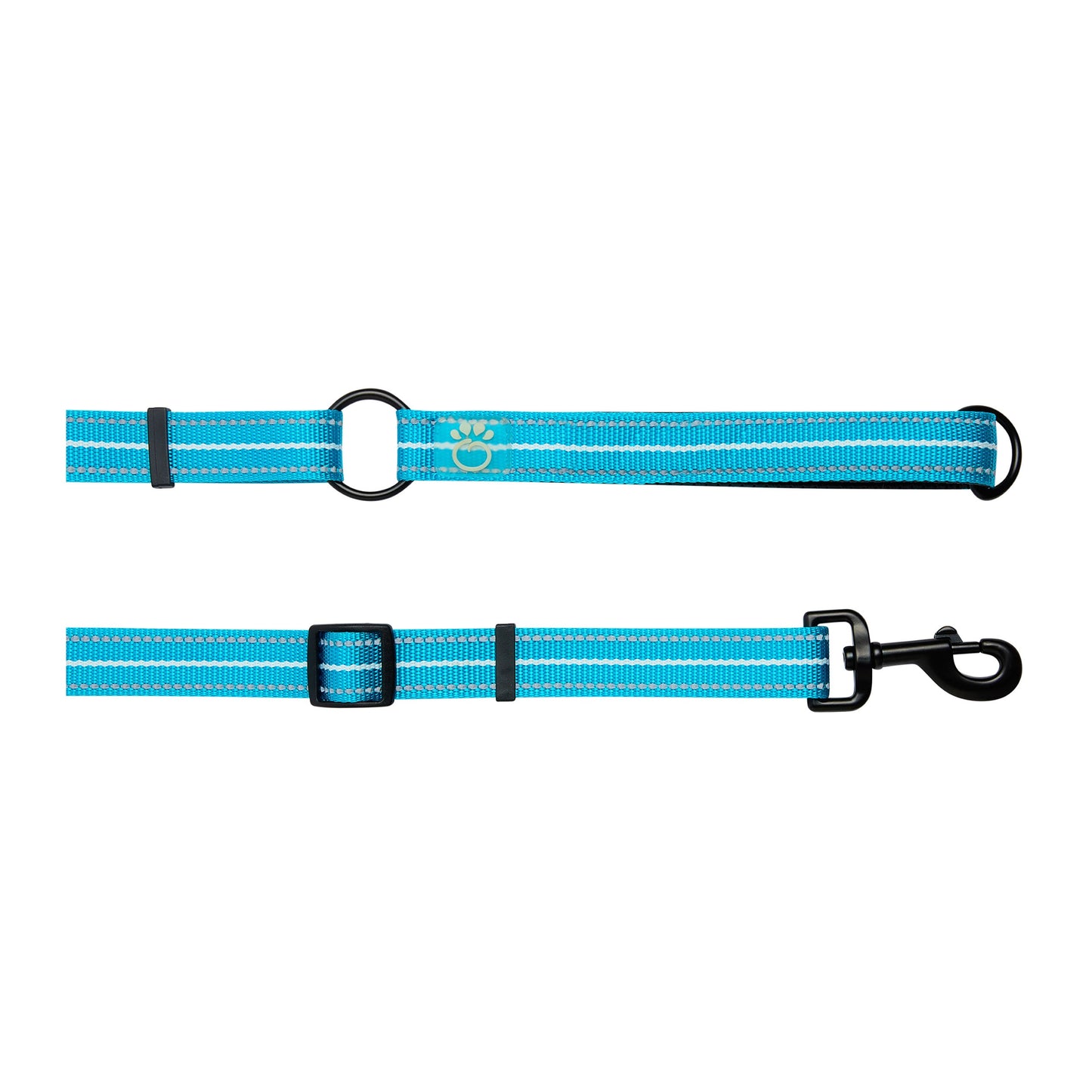 Reflective Leash Eezy 6 Neon Blue Adjustable Dog Walking - main product image