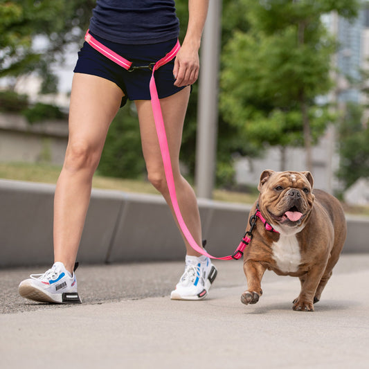 Reflective Leash Eezy 6 Neon Pink Adjustable Dog Walking - detail view