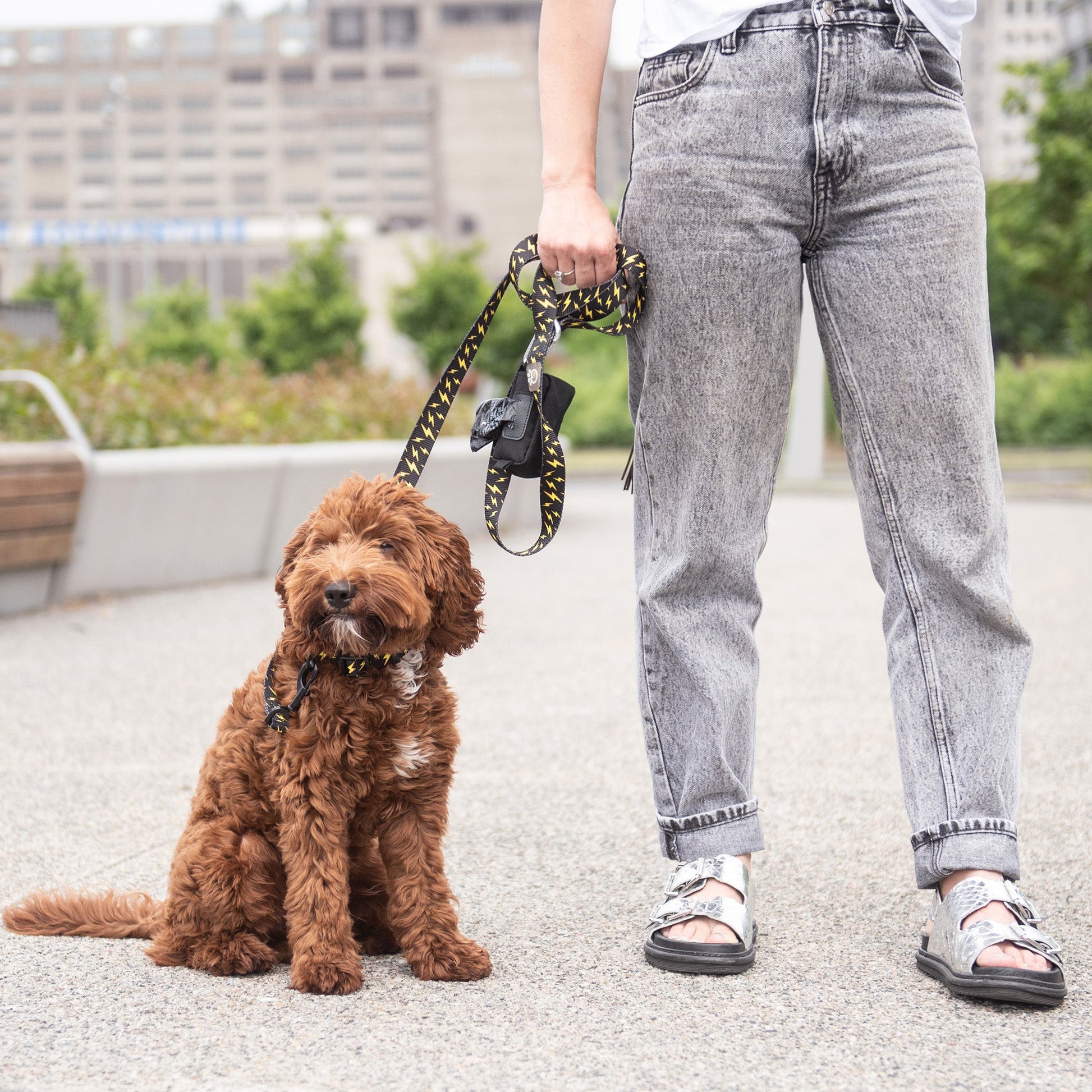 Dog Waste Bag Dispensers Adjustable Black Premium Pet Supply - detail view