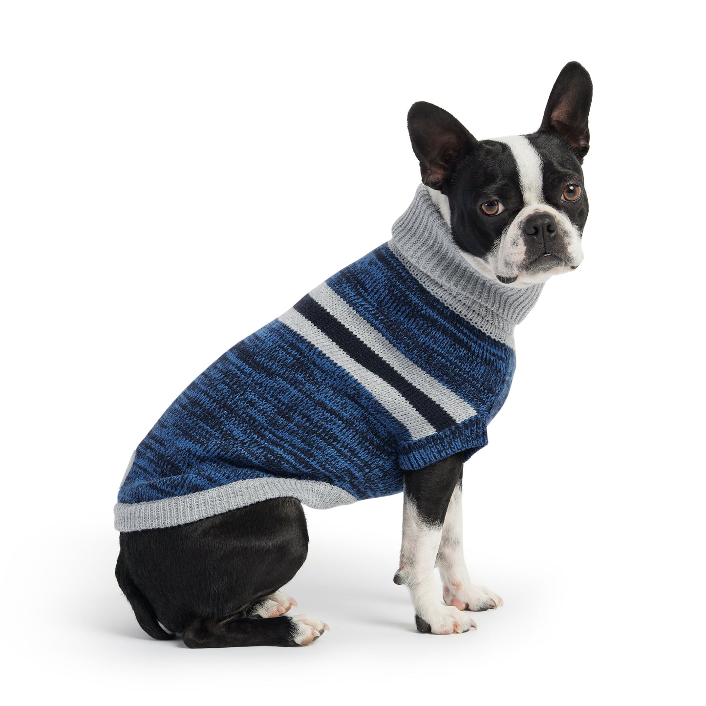 Trekking Sweater Blue Dog Sweaters Premium Pet Supply - detail view