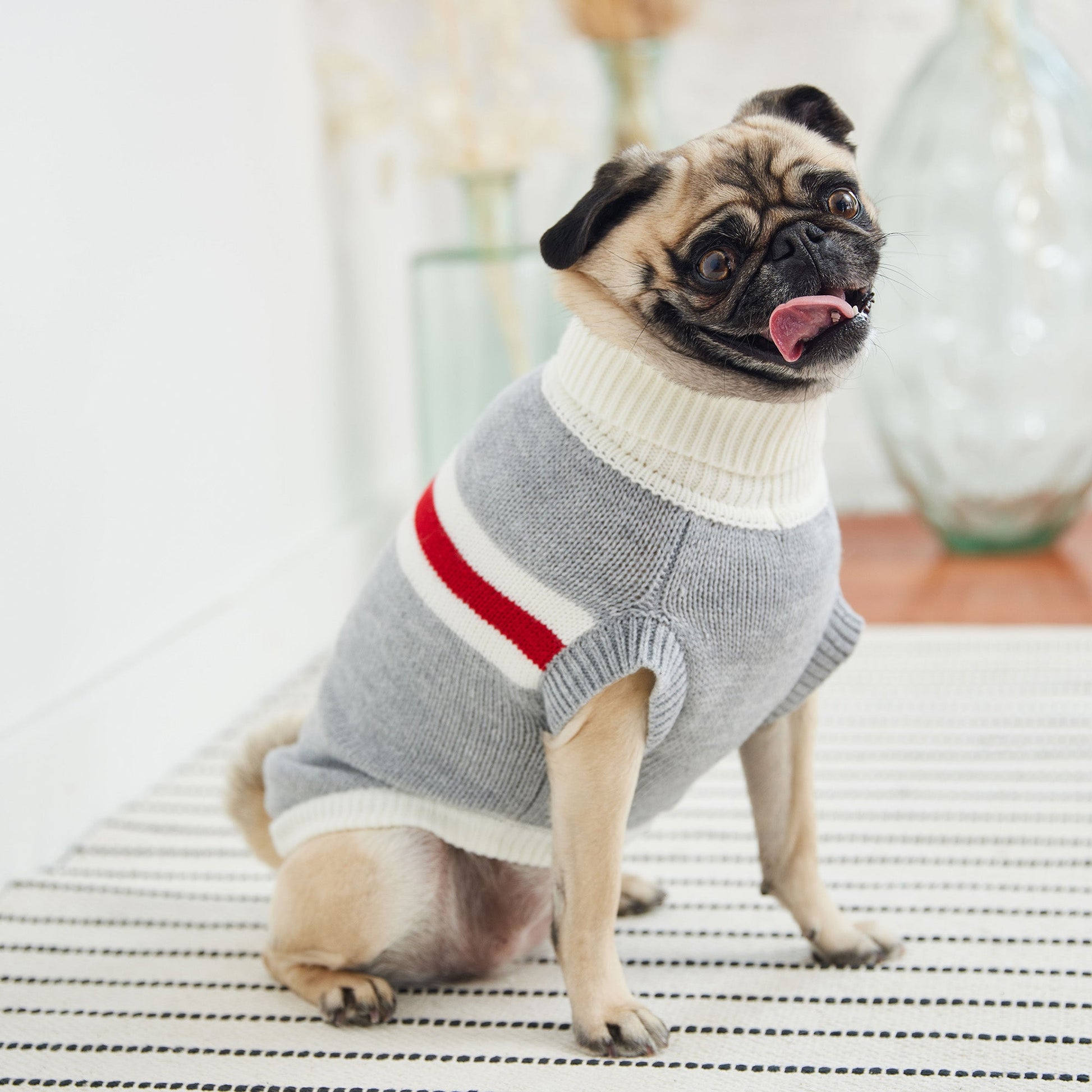 Trekking Sweater Grey Mix Dog Apparel Premium Pet Supply - lifestyle view
