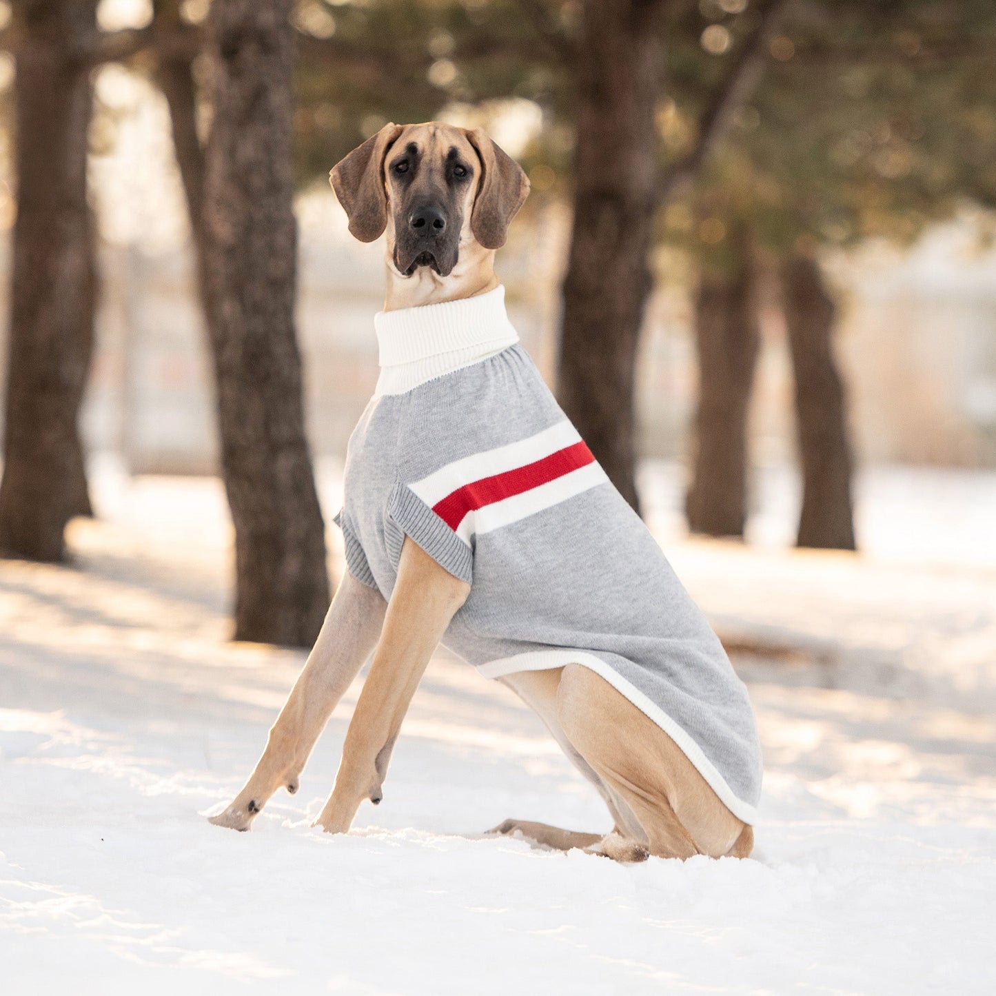 Trekking Sweater Grey Mix Dog Apparel Premium Pet Supply - close up view