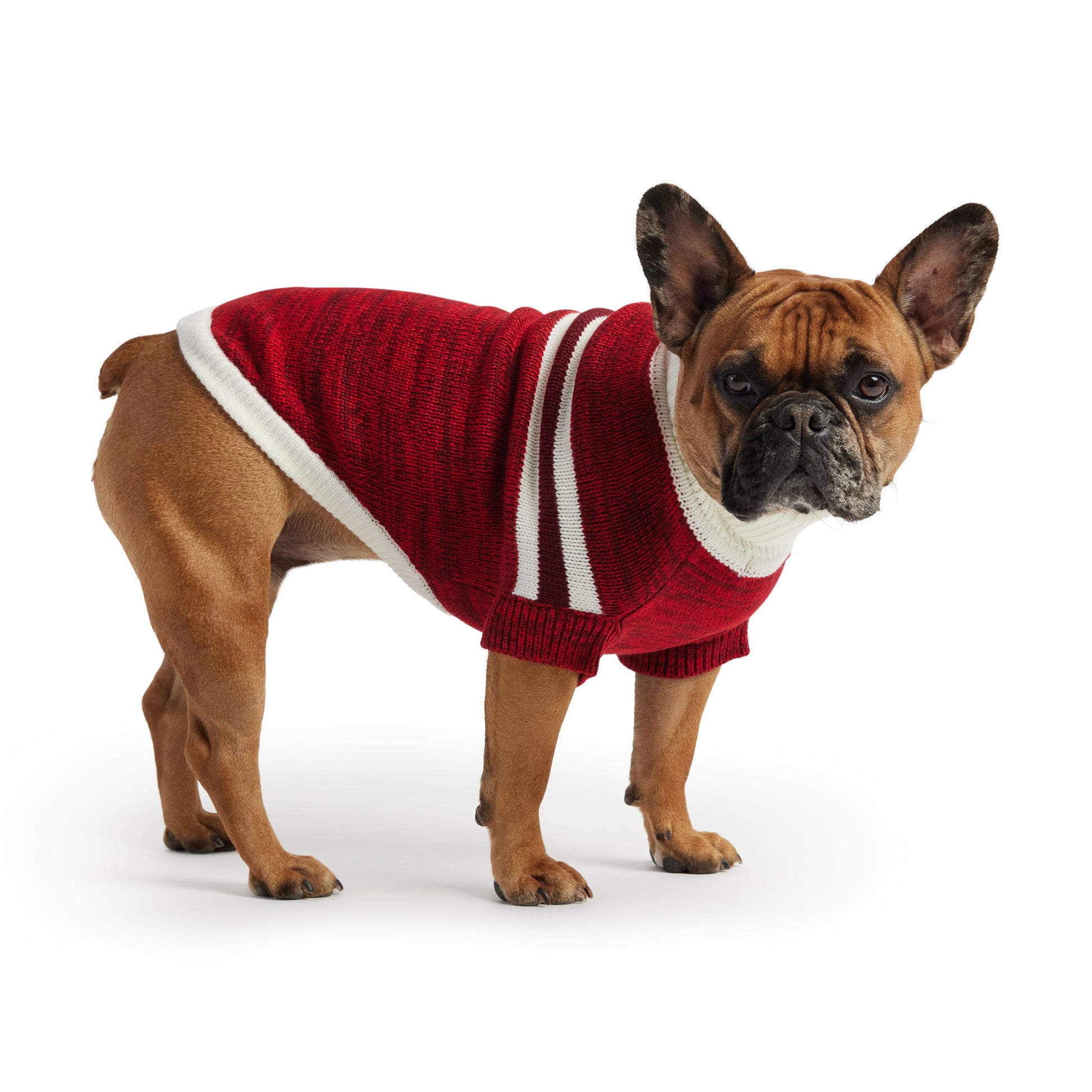 Trekking Sweater Red Dog Apparel Premium Pet Supply Premium - detail view