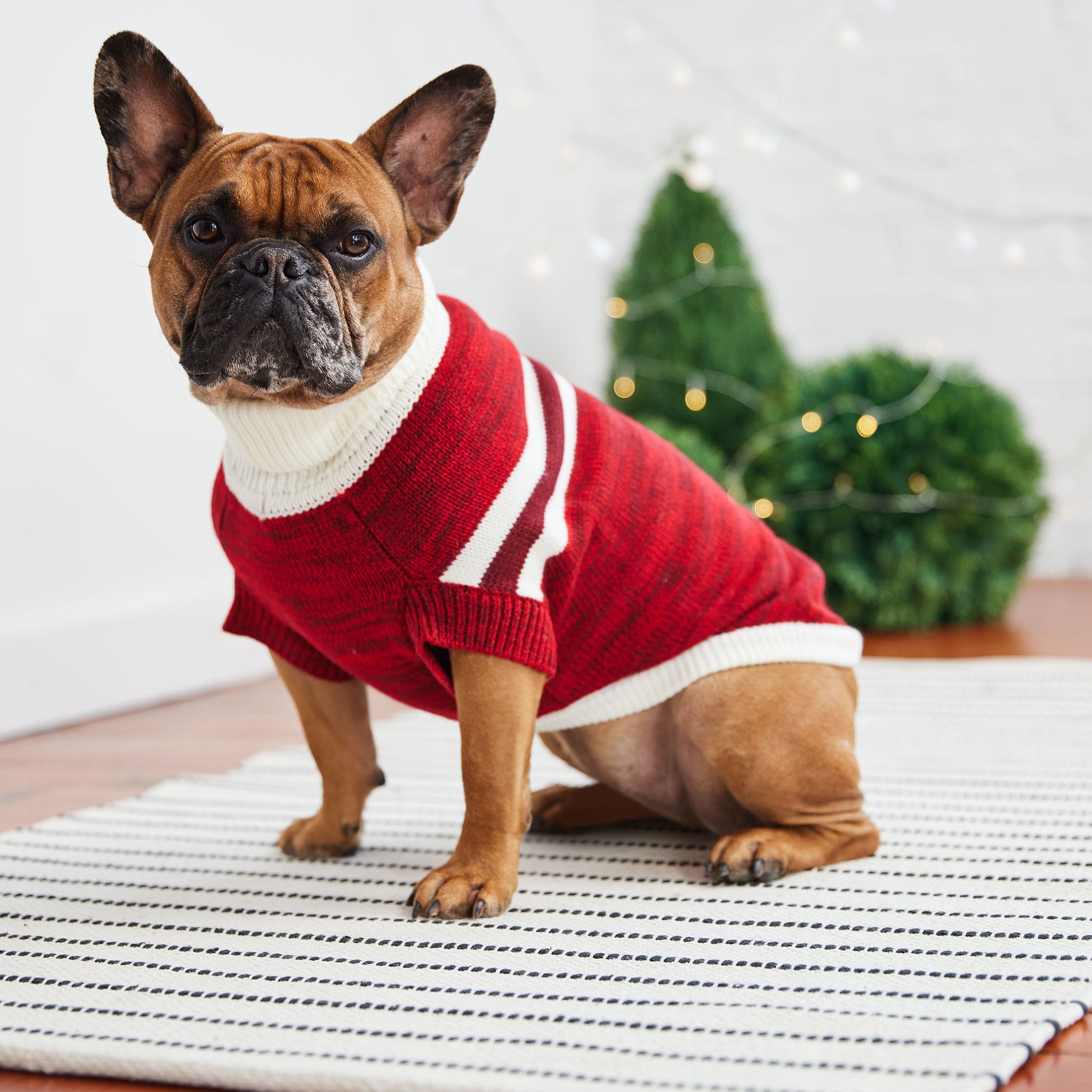 Trekking Sweater Red Dog Apparel Premium Pet Supply Premium - close up view