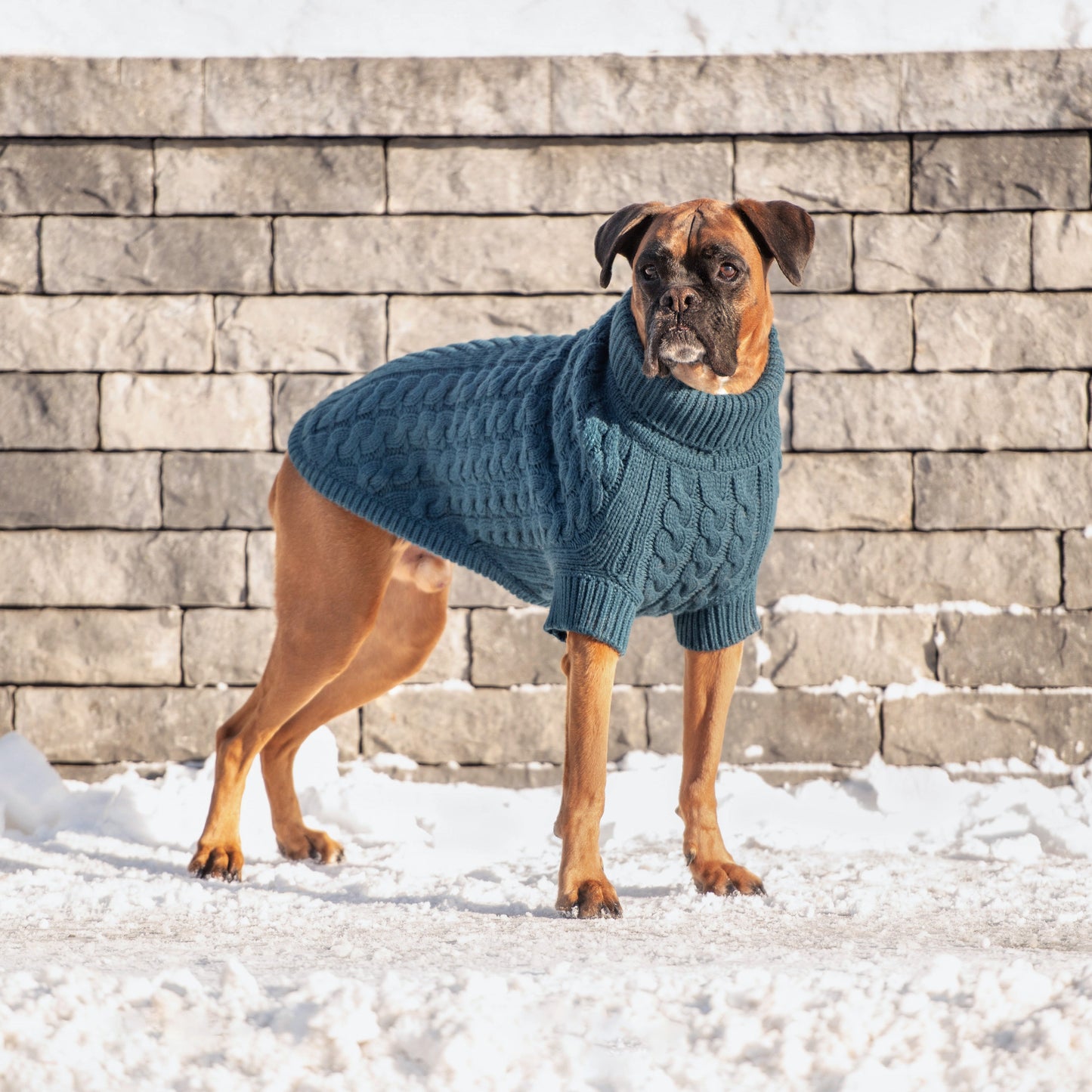Chalet Sweater Dark Teal Dog Sweaters Premium Pet Supply - gallery image 5