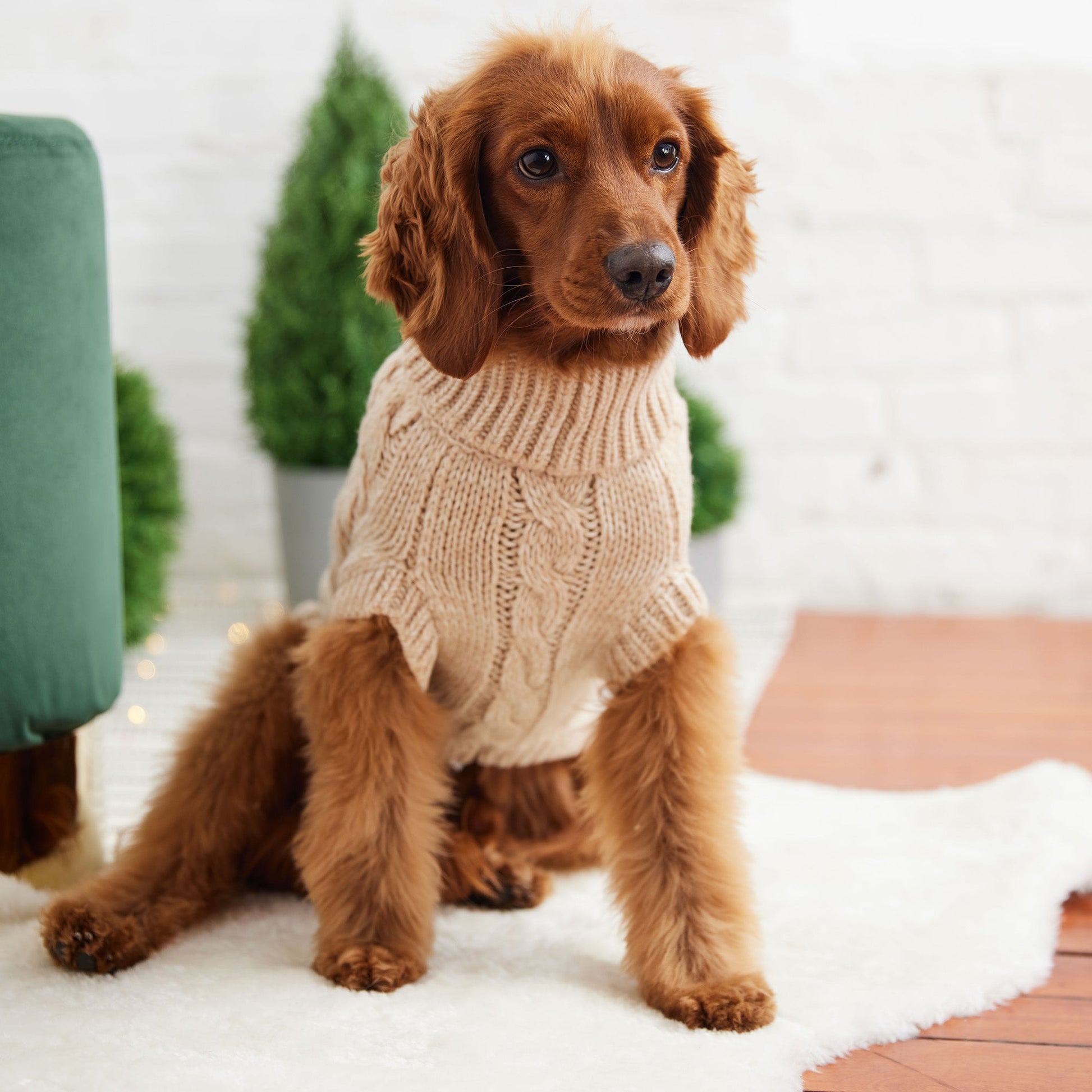 Chalet Sweater Oatmeal Dog Sweaters Premium Pet Supply - close up view