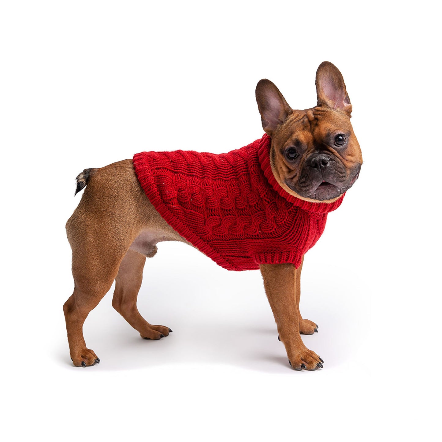 Chalet Sweater Red Dog Sweaters Premium Pet Supply Premium - detail view