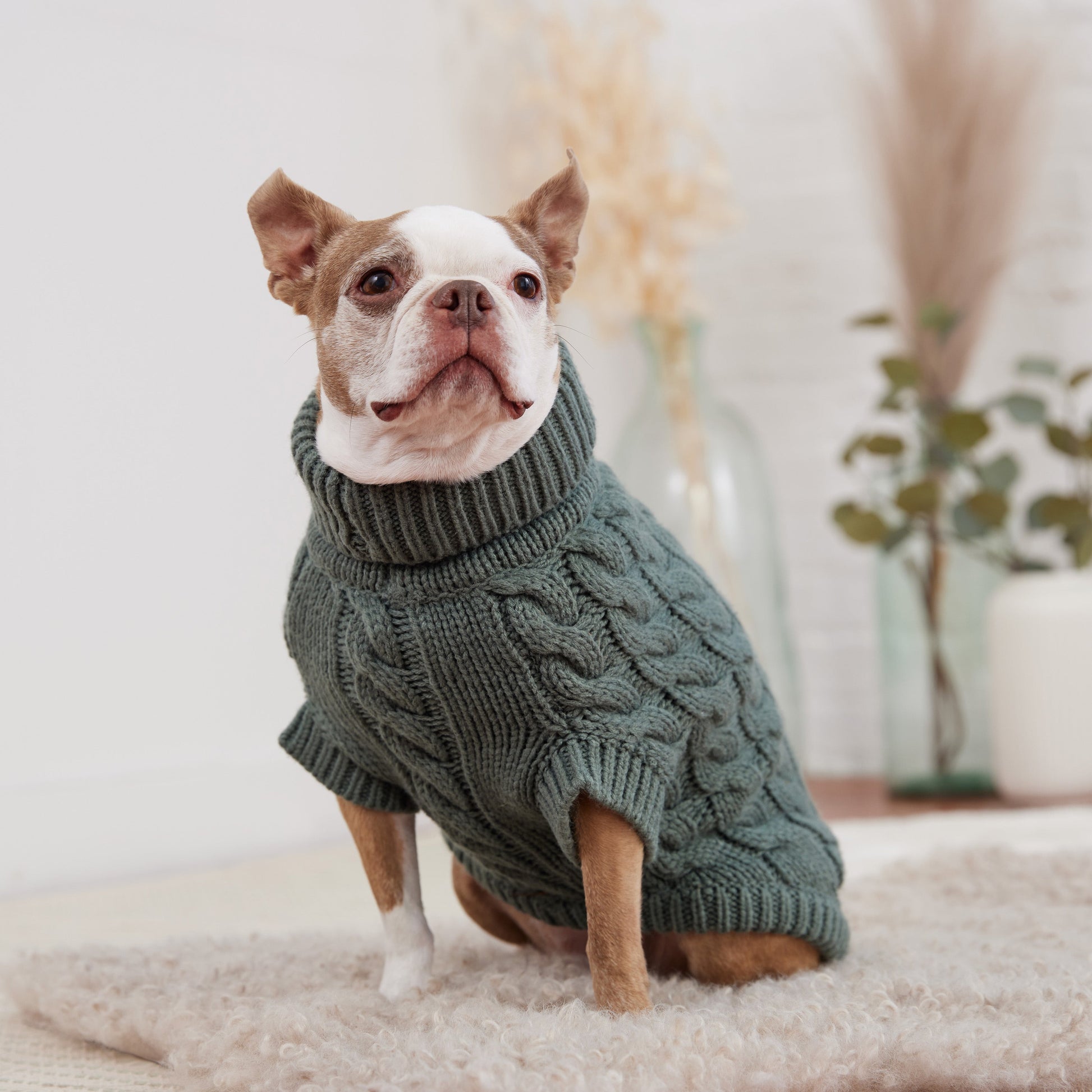 Chalet Sweater Sage Dog Sweaters Premium Pet Supply Premium - gallery image 5