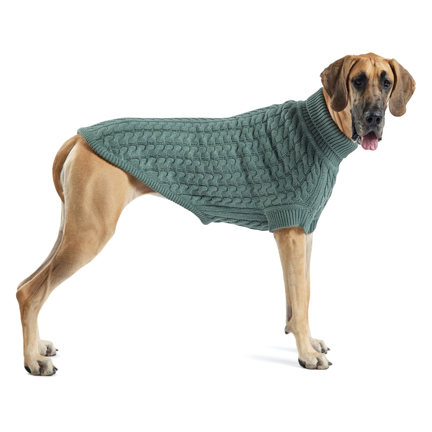 Chalet Sweater Sage Dog Sweaters Premium Pet Supply Premium - close up view