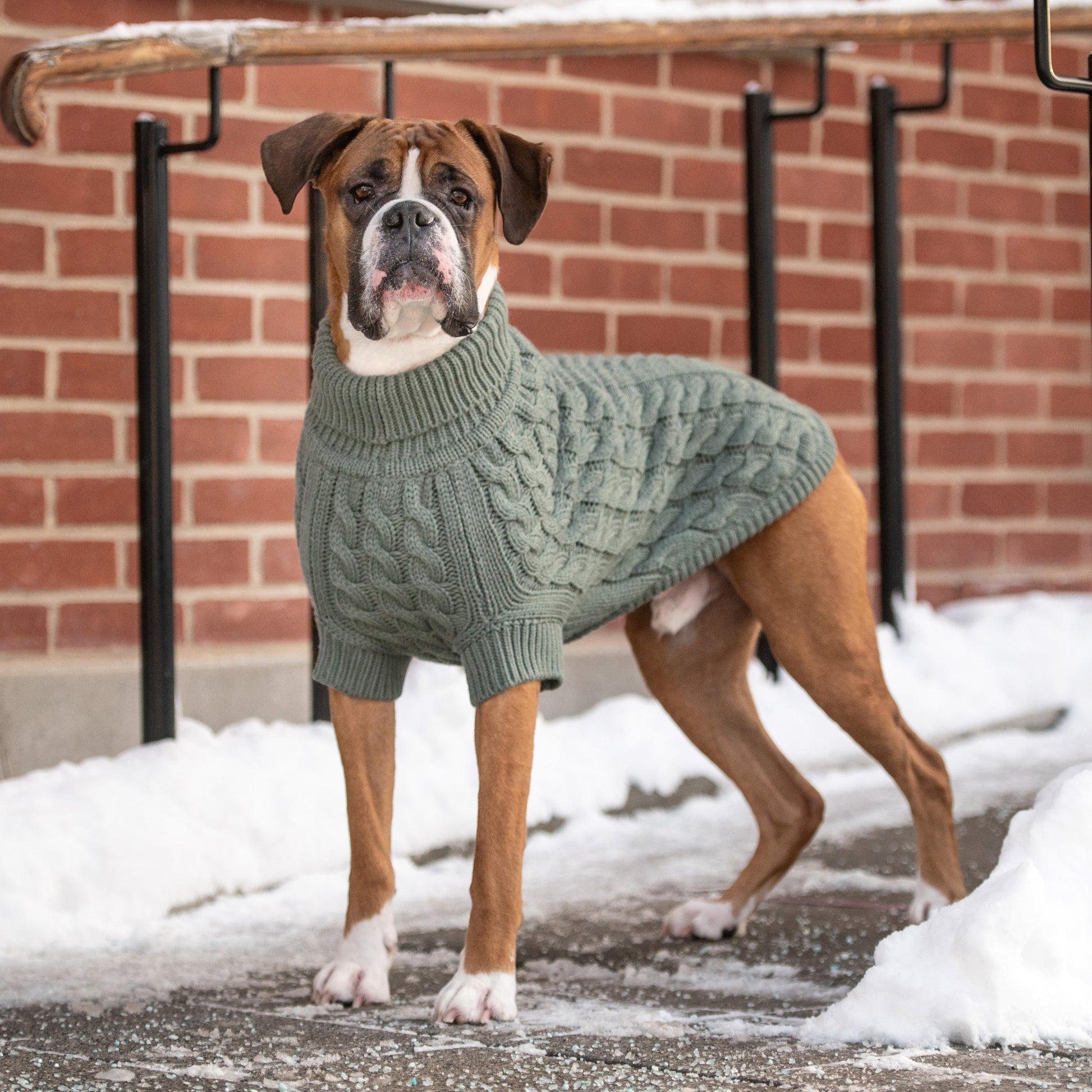 Chalet Sweater Sage Dog Sweaters Premium Pet Supply Premium - gallery image 7