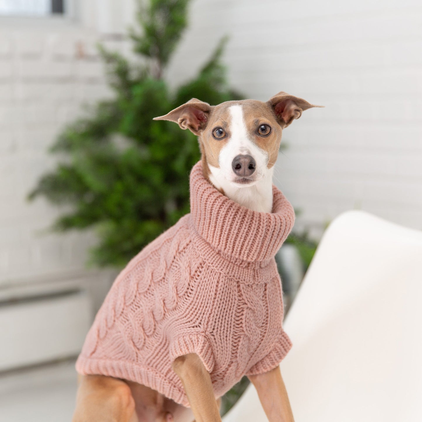 Chalet Sweater Pink Dog Sweaters Premium Pet Supply Premium - close up view