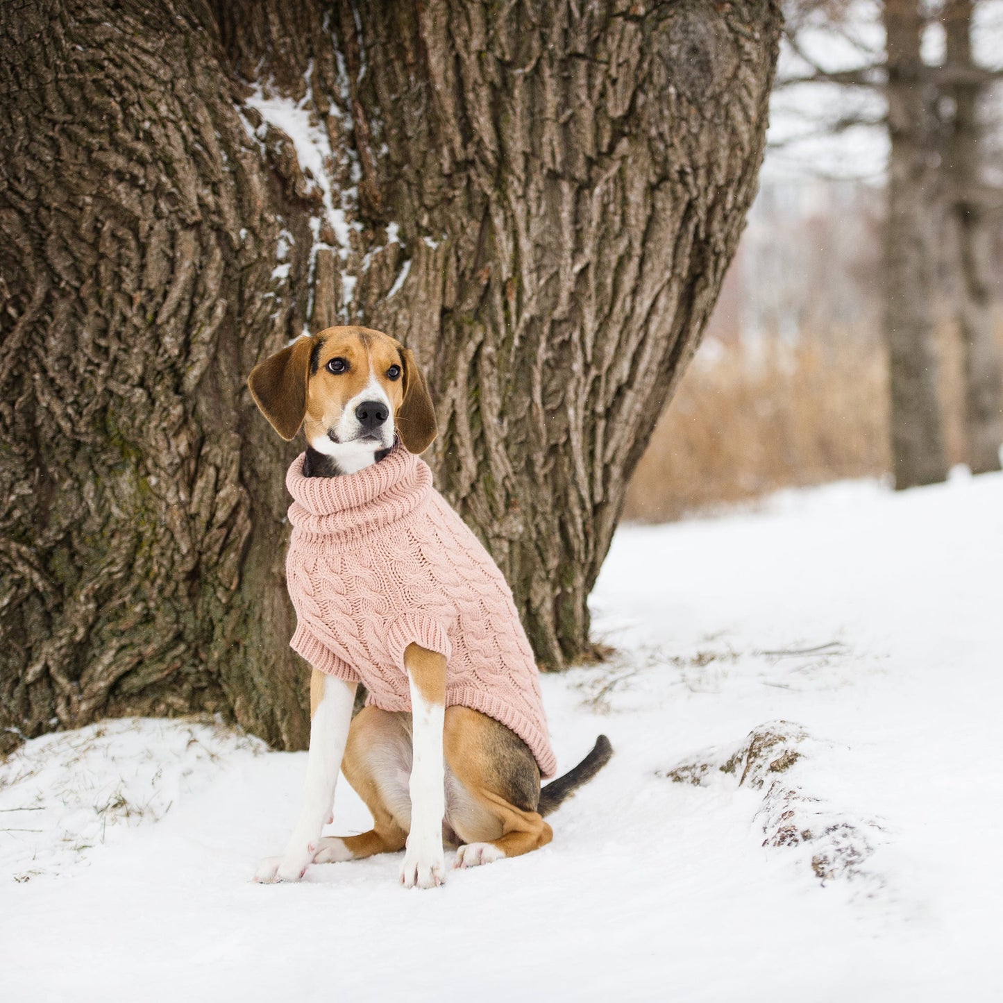 Chalet Sweater Pink Dog Sweaters Premium Pet Supply Premium - gallery image 5