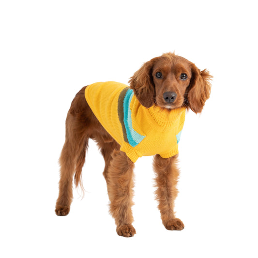 Alpine Sweater - Yellow - detail view | Pet Supplies at Purrfect Pet Kingdom for Dogs and Cats