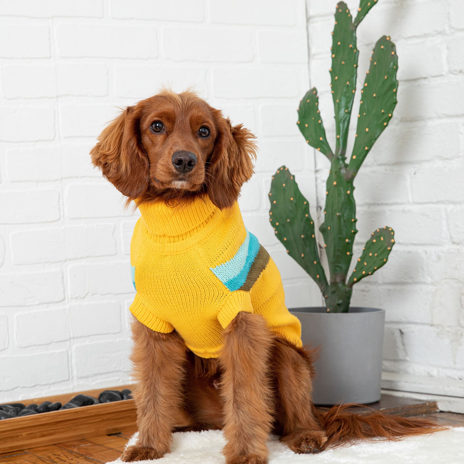 Alpine Sweater - Yellow - close up view | Pet Supplies at Purrfect Pet Kingdom for Dogs and Cats