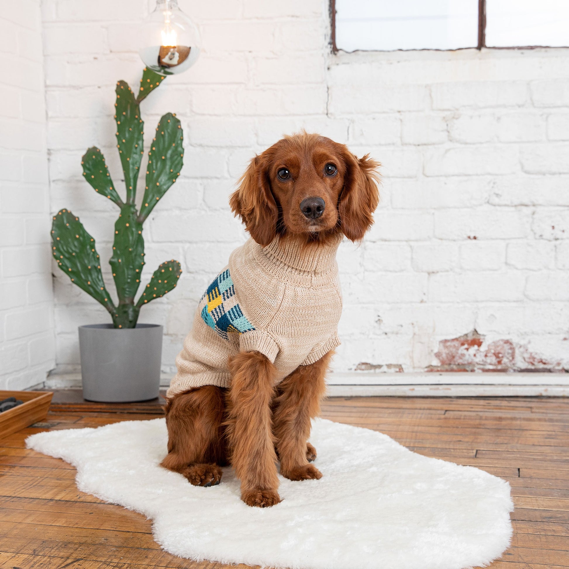 Winter Sailor Sweater Oatmeal Mix Dog Apparel Premium Pet - detail view