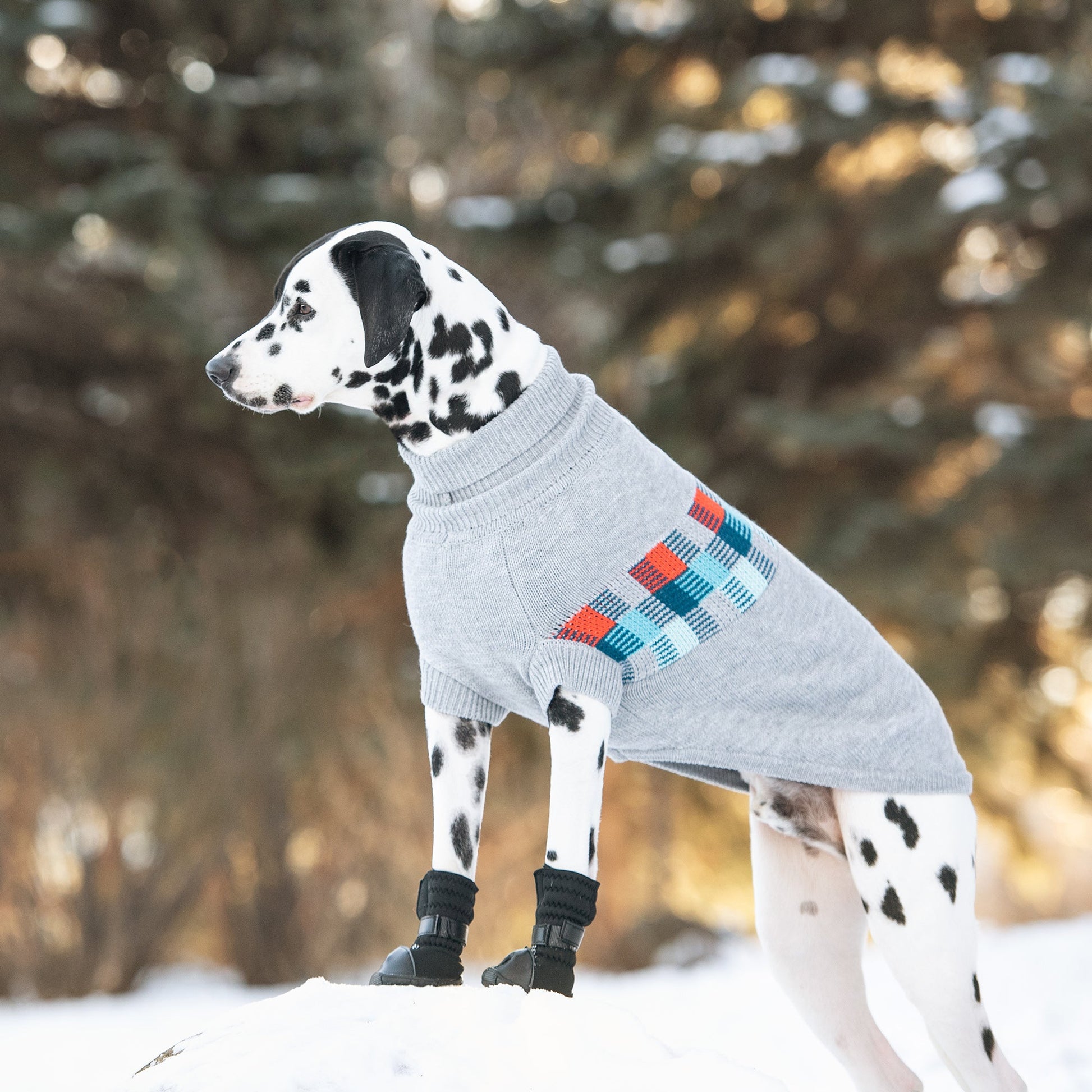 Winter Sailor Sweater Grey Mix Dog Apparel Premium Pet - close up view