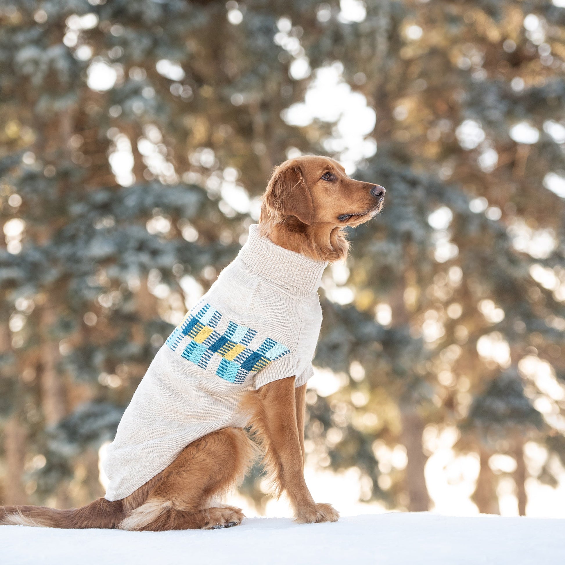 Winter Sailor Sweater Oatmeal Mix Dog Apparel Premium Pet - close up view