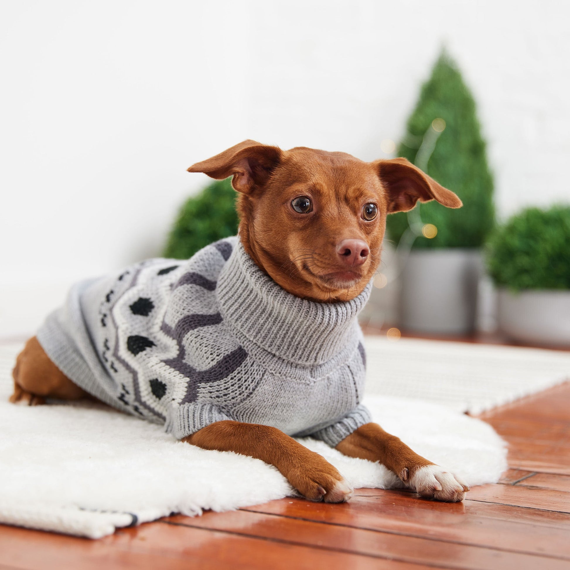 Heritage Sweater Grey Mix Dog Apparel Premium Pet Supply - close up view