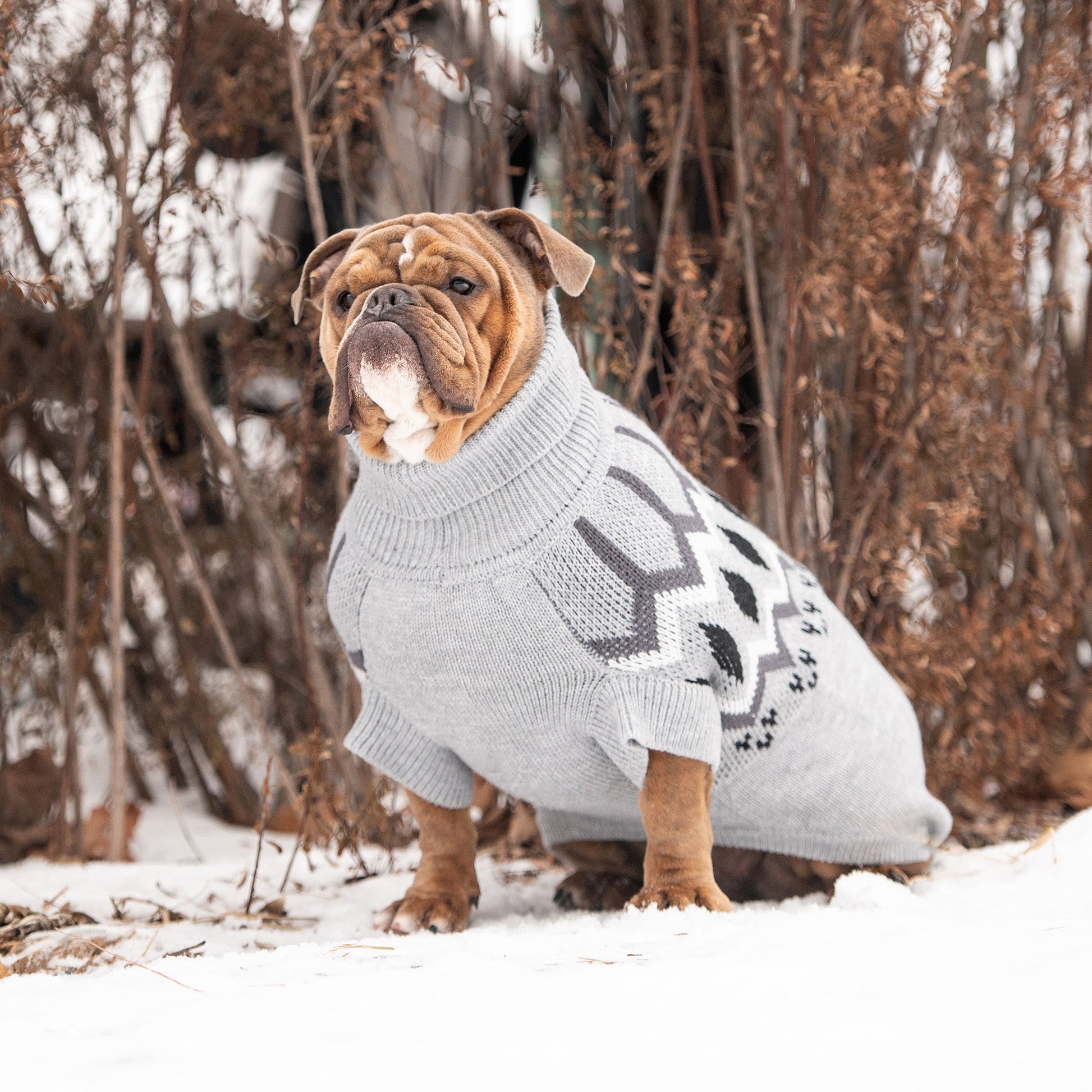 Heritage Sweater Grey Mix Dog Apparel Premium Pet Supply - gallery image 5