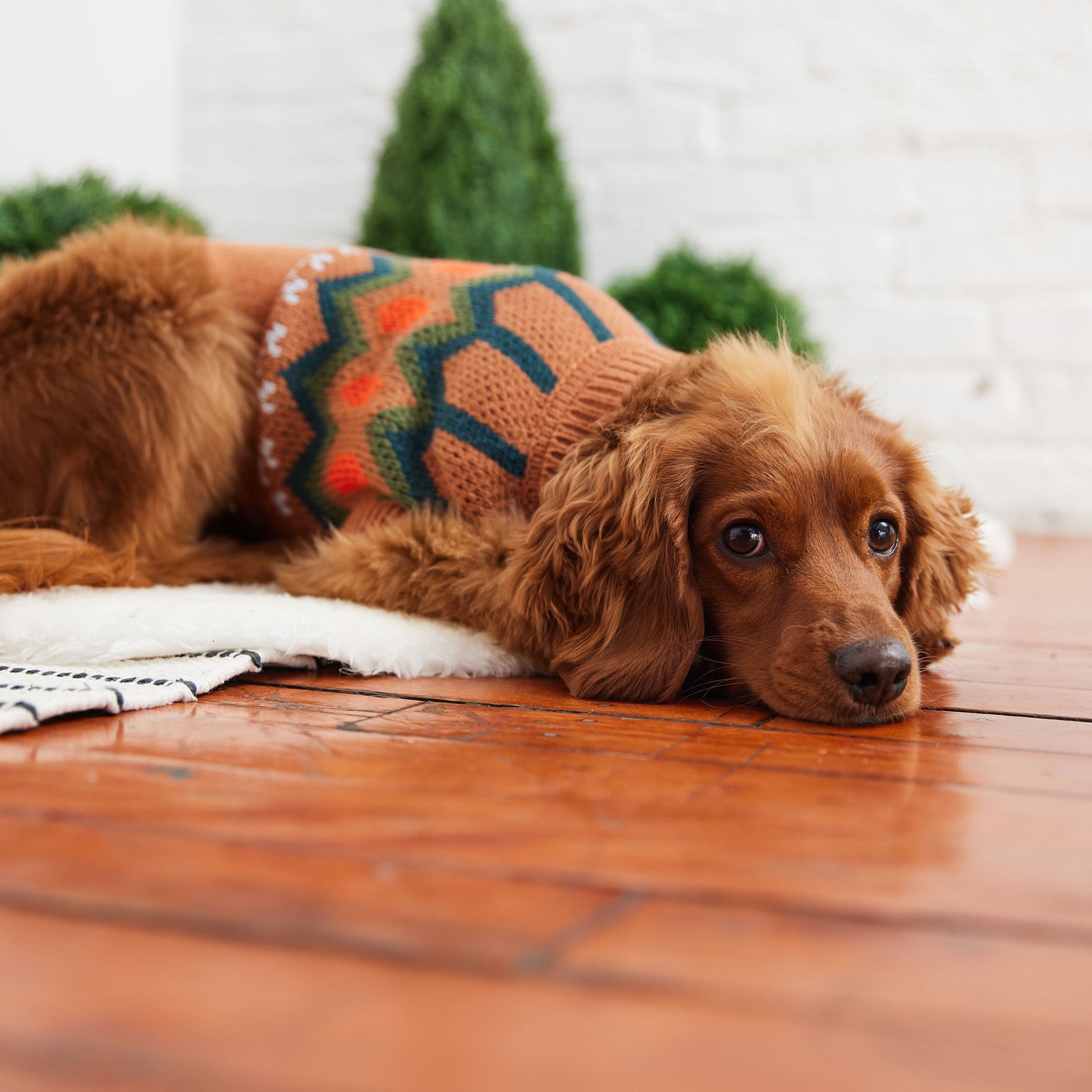 Heritage Sweater Hazel Dog Apparel Premium Pet Supply - close up view