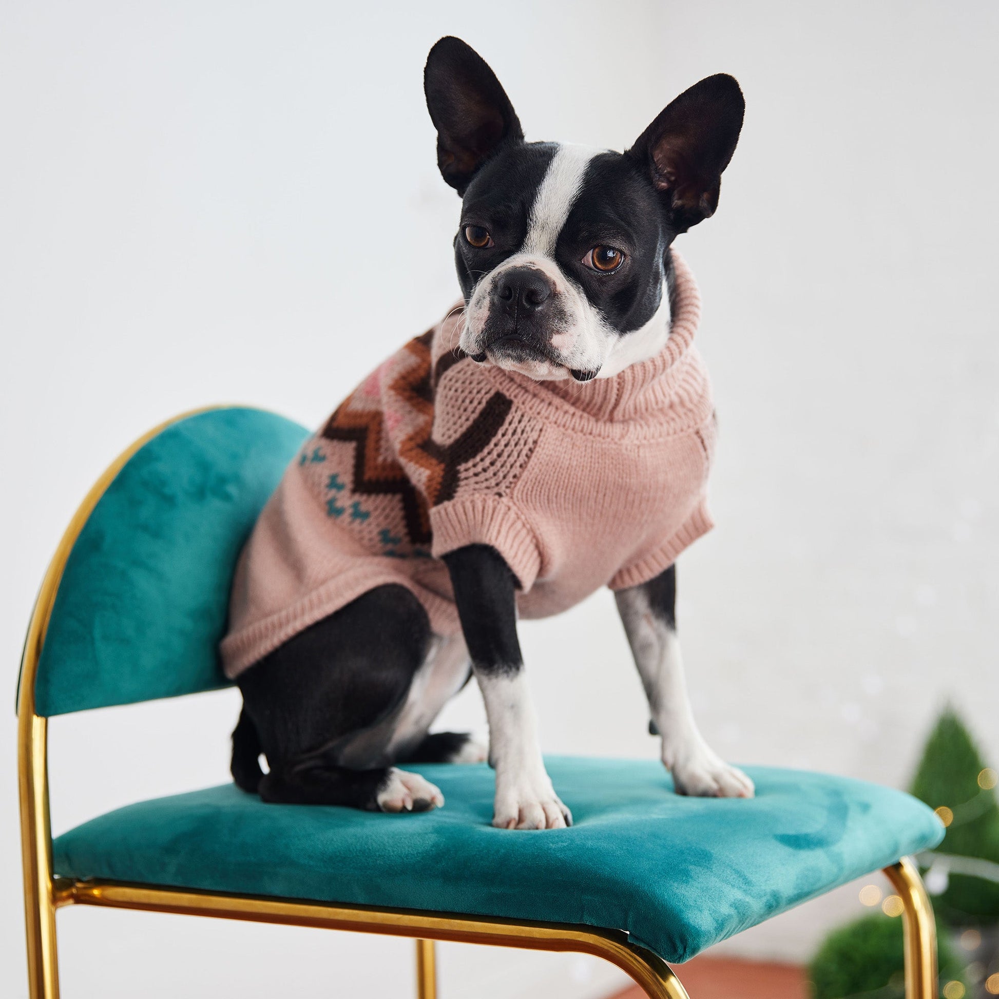 Heritage Sweater Pink Dog Sweaters Premium Pet Supply - close up view