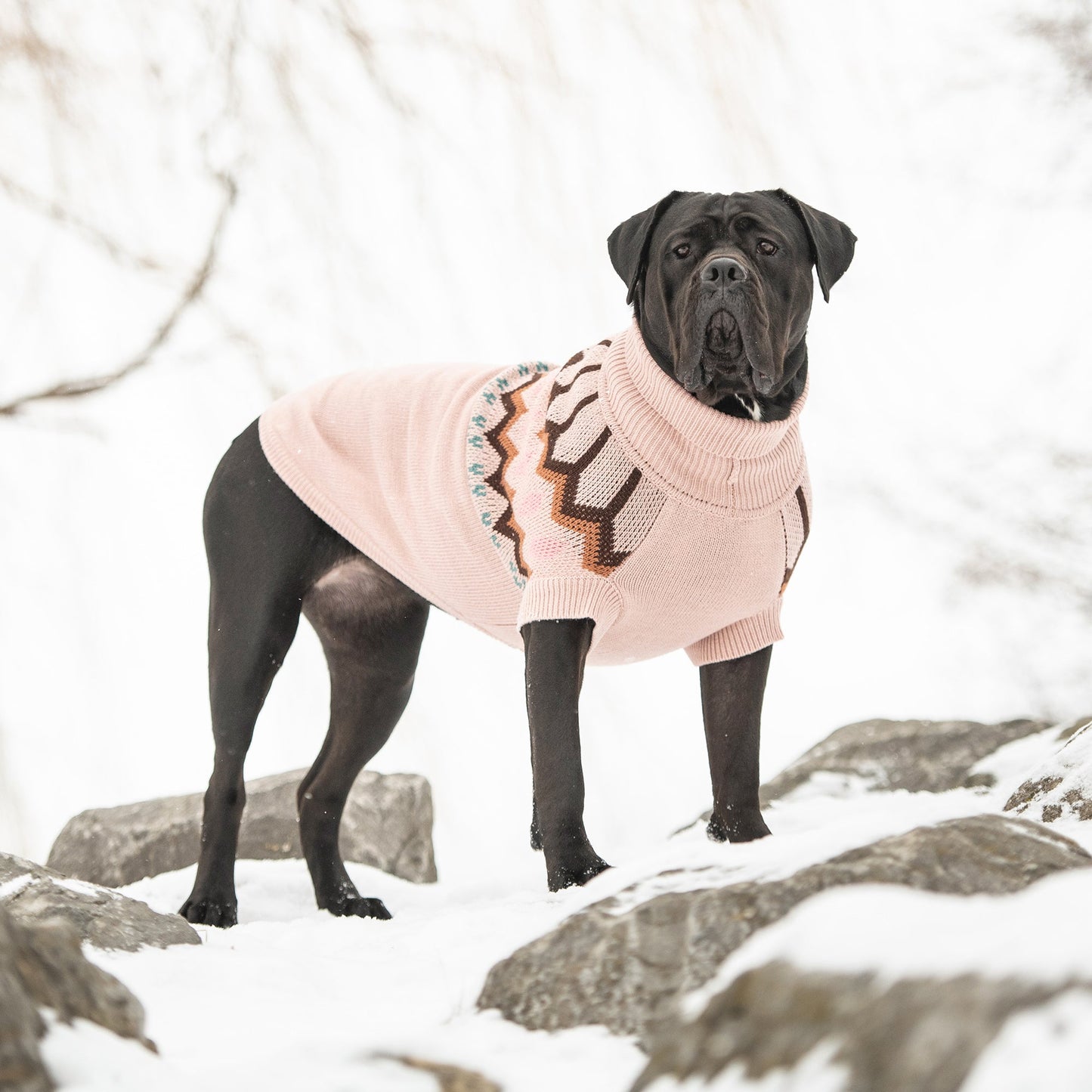 Heritage Sweater Pink Dog Sweaters Premium Pet Supply - gallery image 5