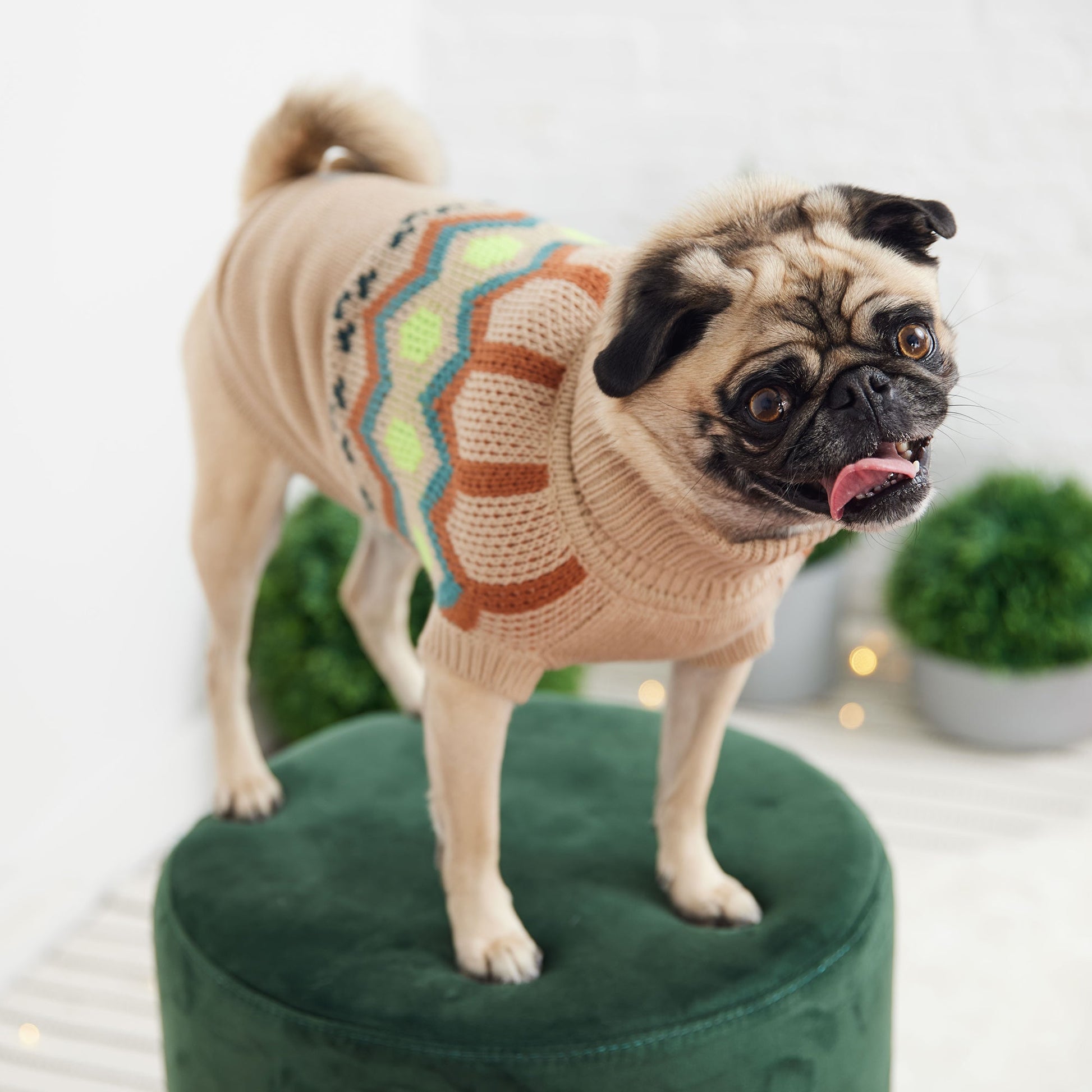 Heritage Sweater Sand Dog Apparel Premium Pet Supply Premium - close up view