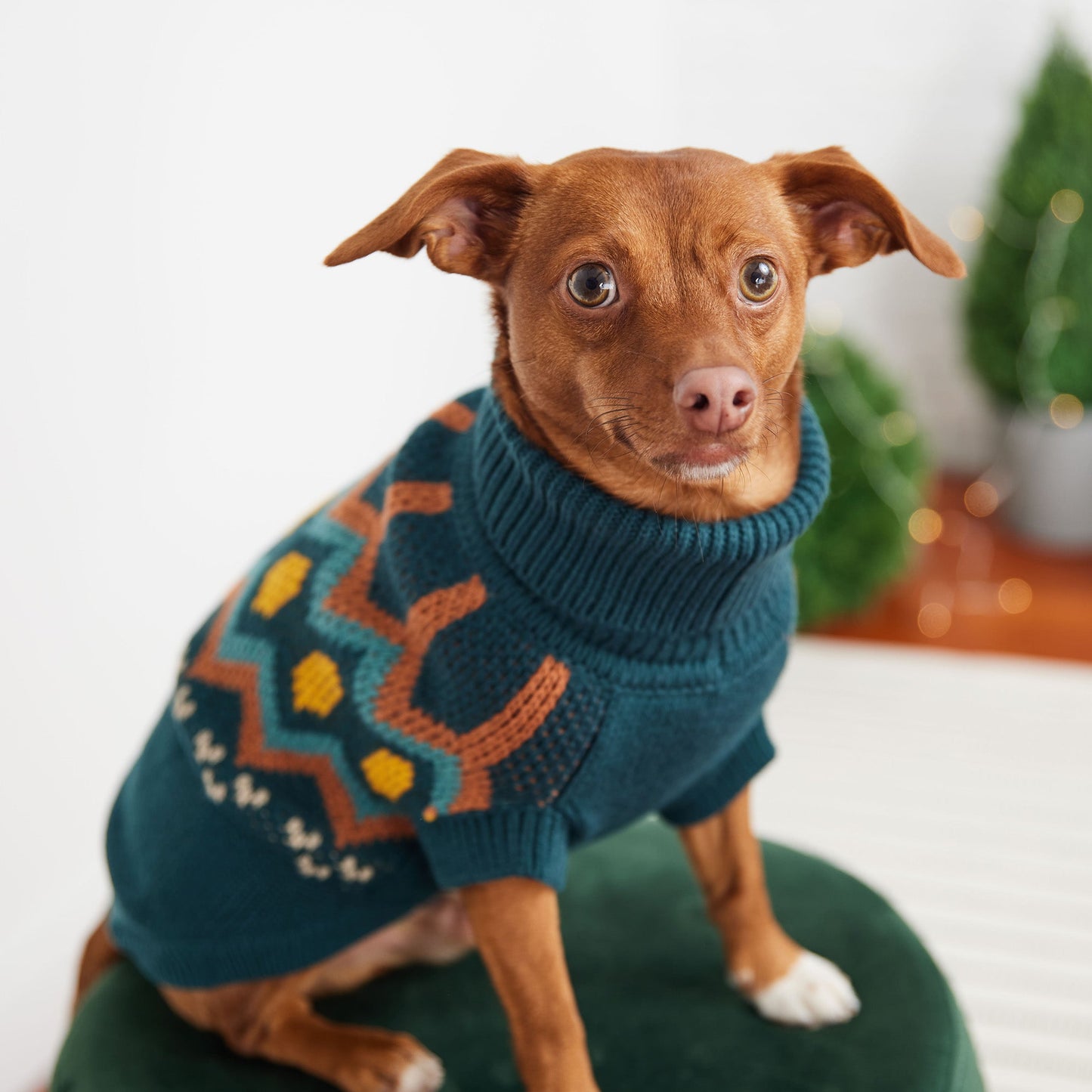 Heritage Sweater Teal Dog Apparel Premium Pet Supply Premium - close up view