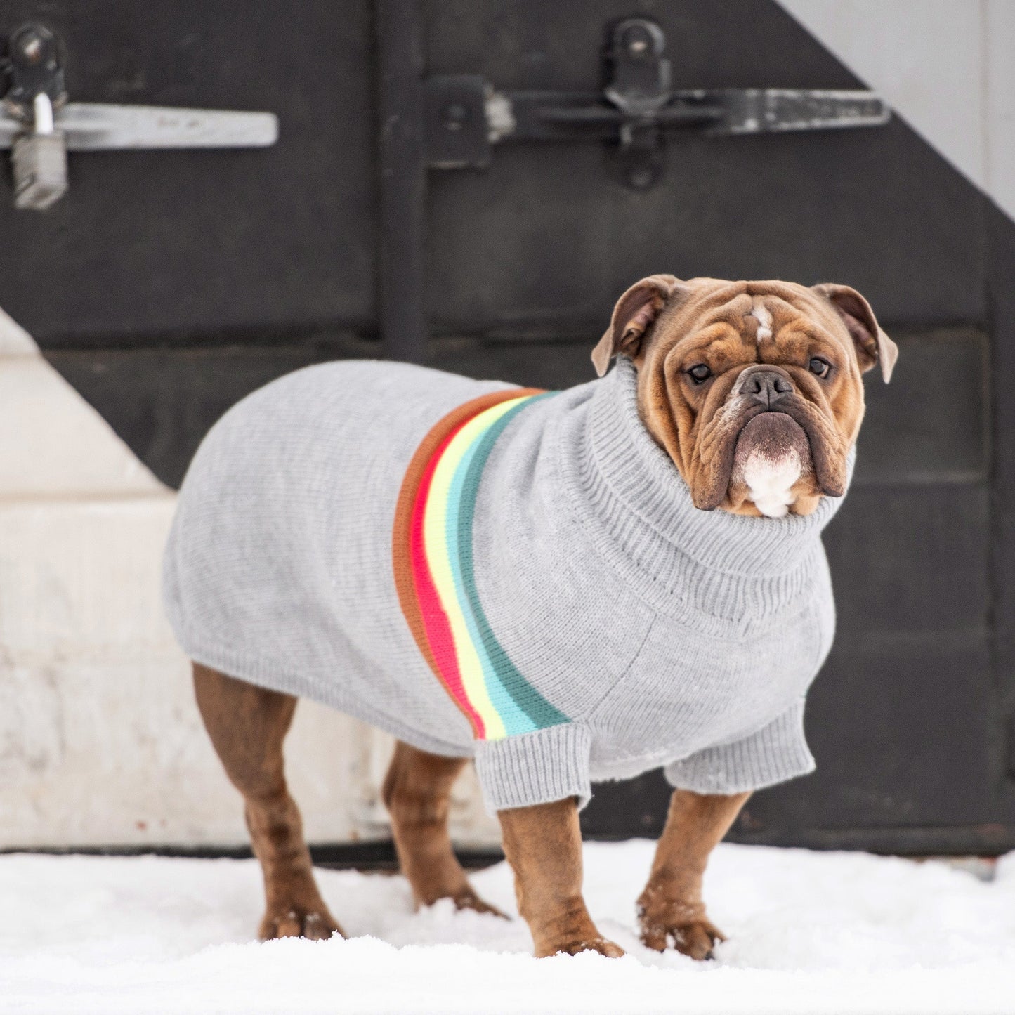 Retro Sweater Grey Mix Dog Apparel Premium Pet Supply - gallery image 5