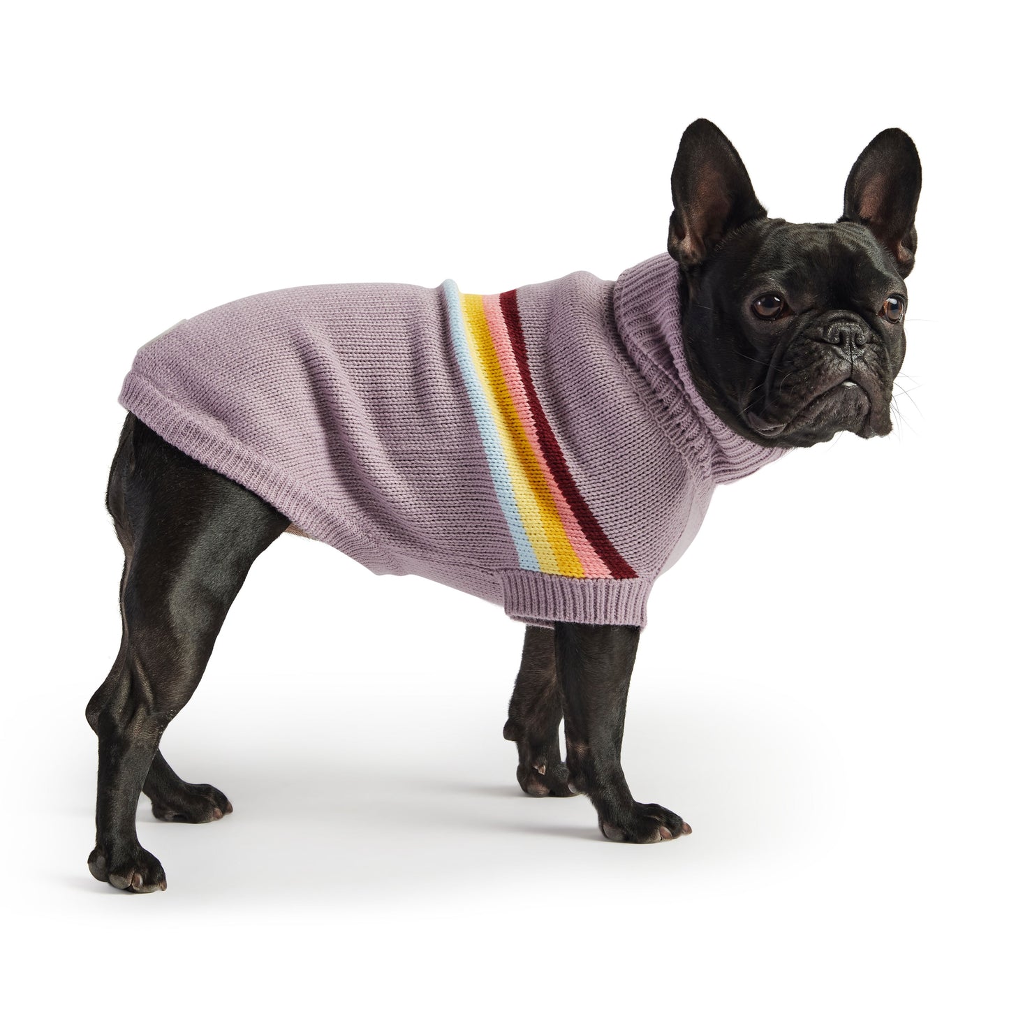 Dog Apparel Outdoor Comfort Adjustable Lavender Everyday Wea - detail view