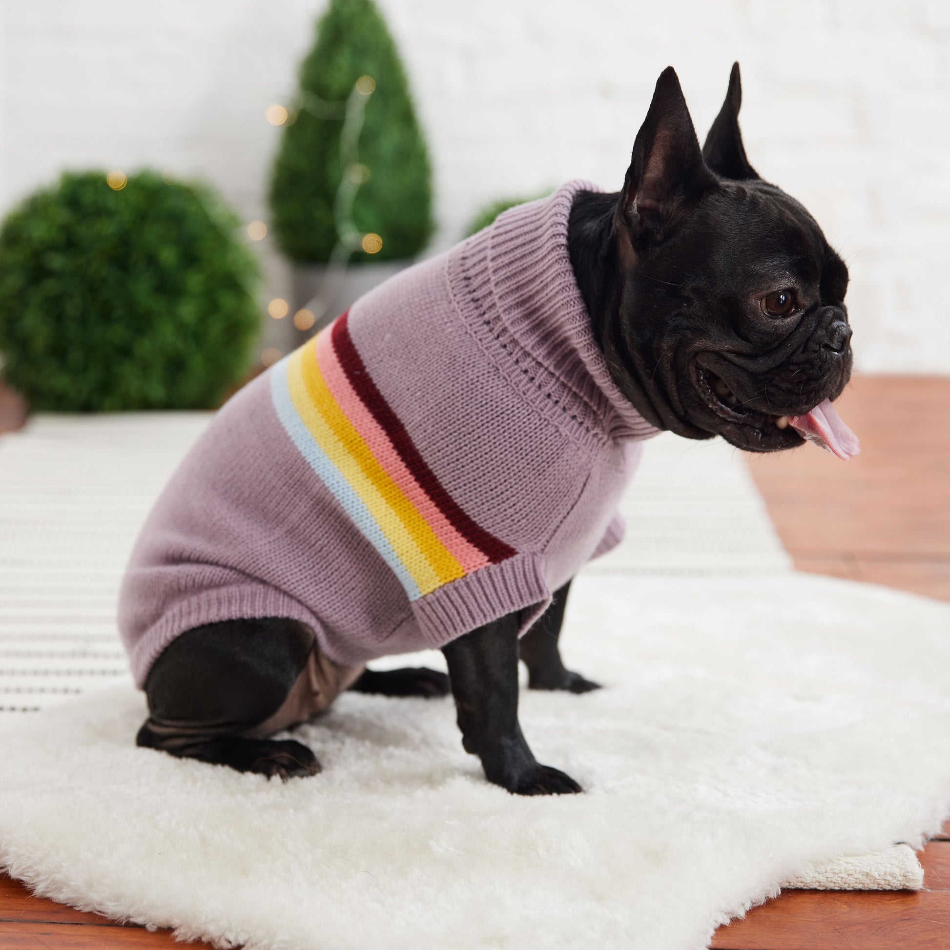 Dog Apparel Outdoor Comfort Adjustable Lavender Everyday Wea - close up view