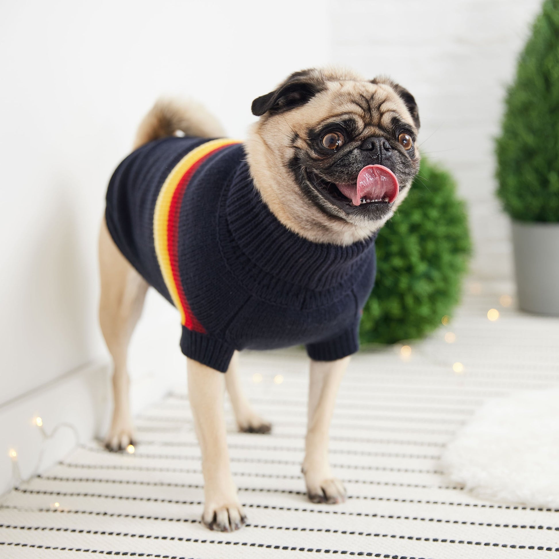 Retro Sweater Navy Dog Apparel Premium Pet Supply Premium - close up view