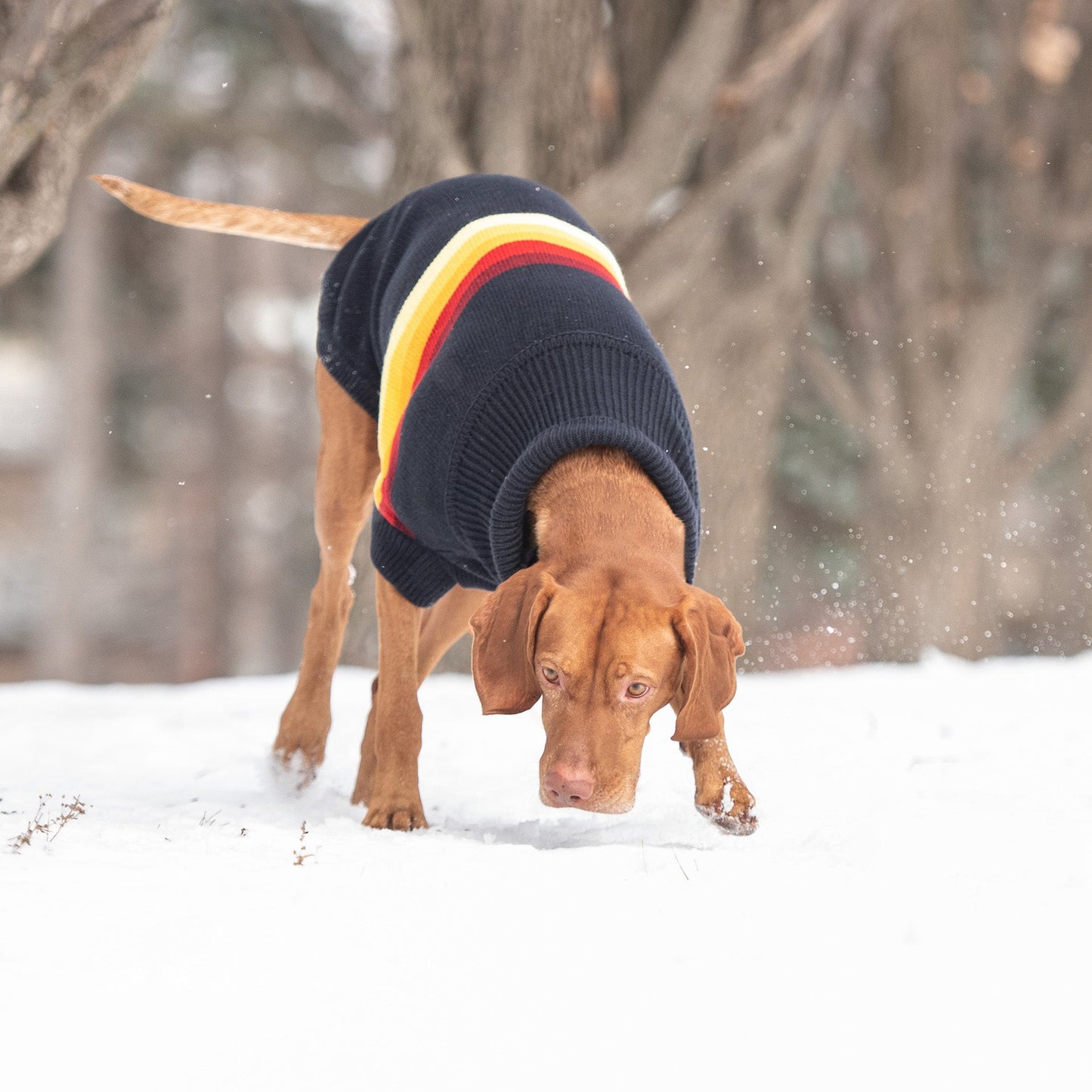 Retro Sweater Navy Dog Apparel Premium Pet Supply Premium - gallery image 5