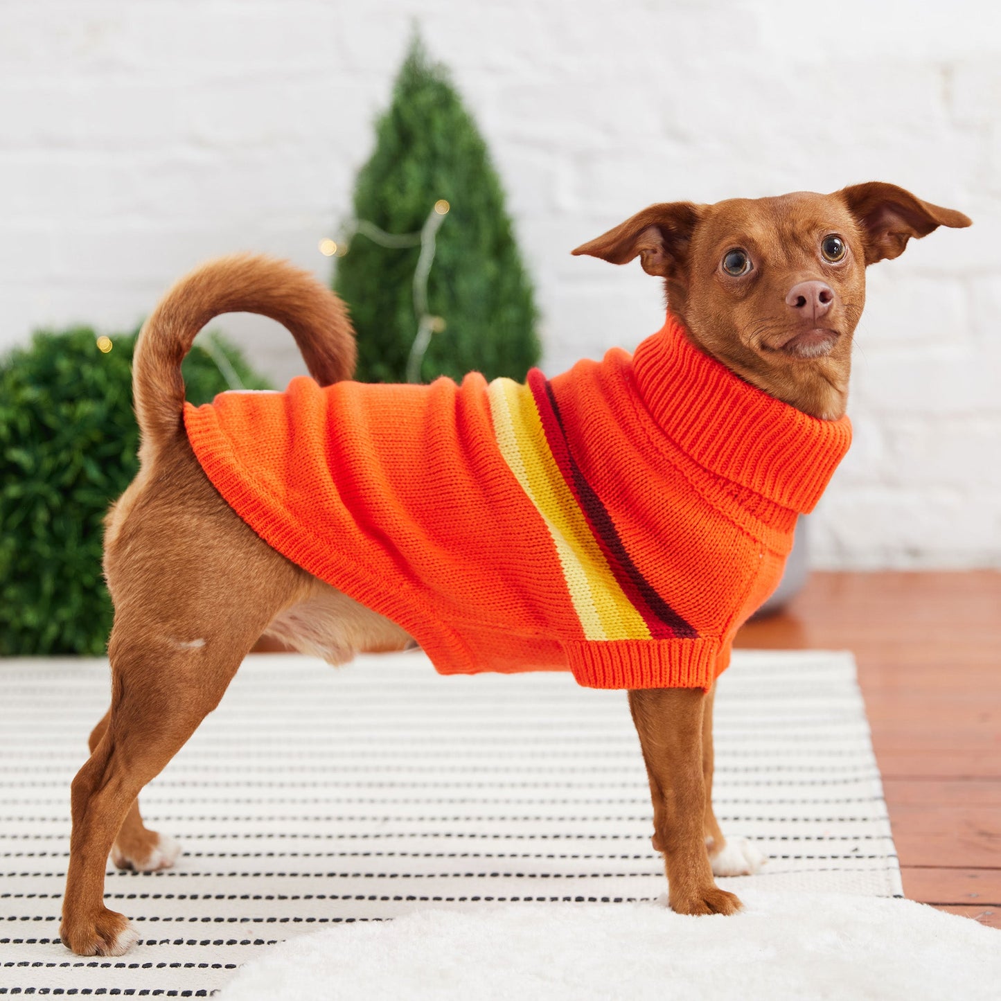 Retro Sweater Orange Dog Apparel Premium Pet Supply Premium - close up view