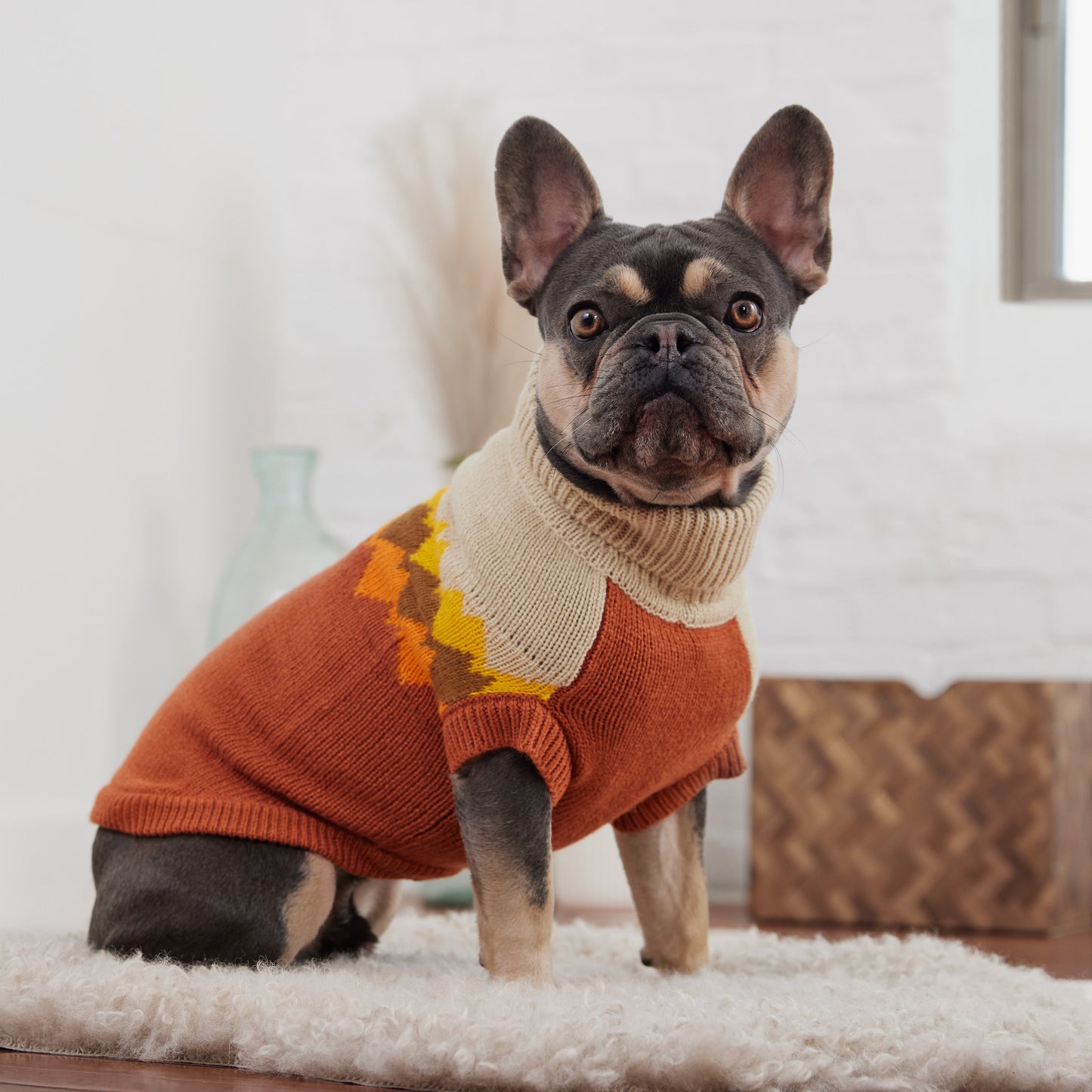 Fireside Sweater Chili Dog Apparel Premium Pet Supply - close up view