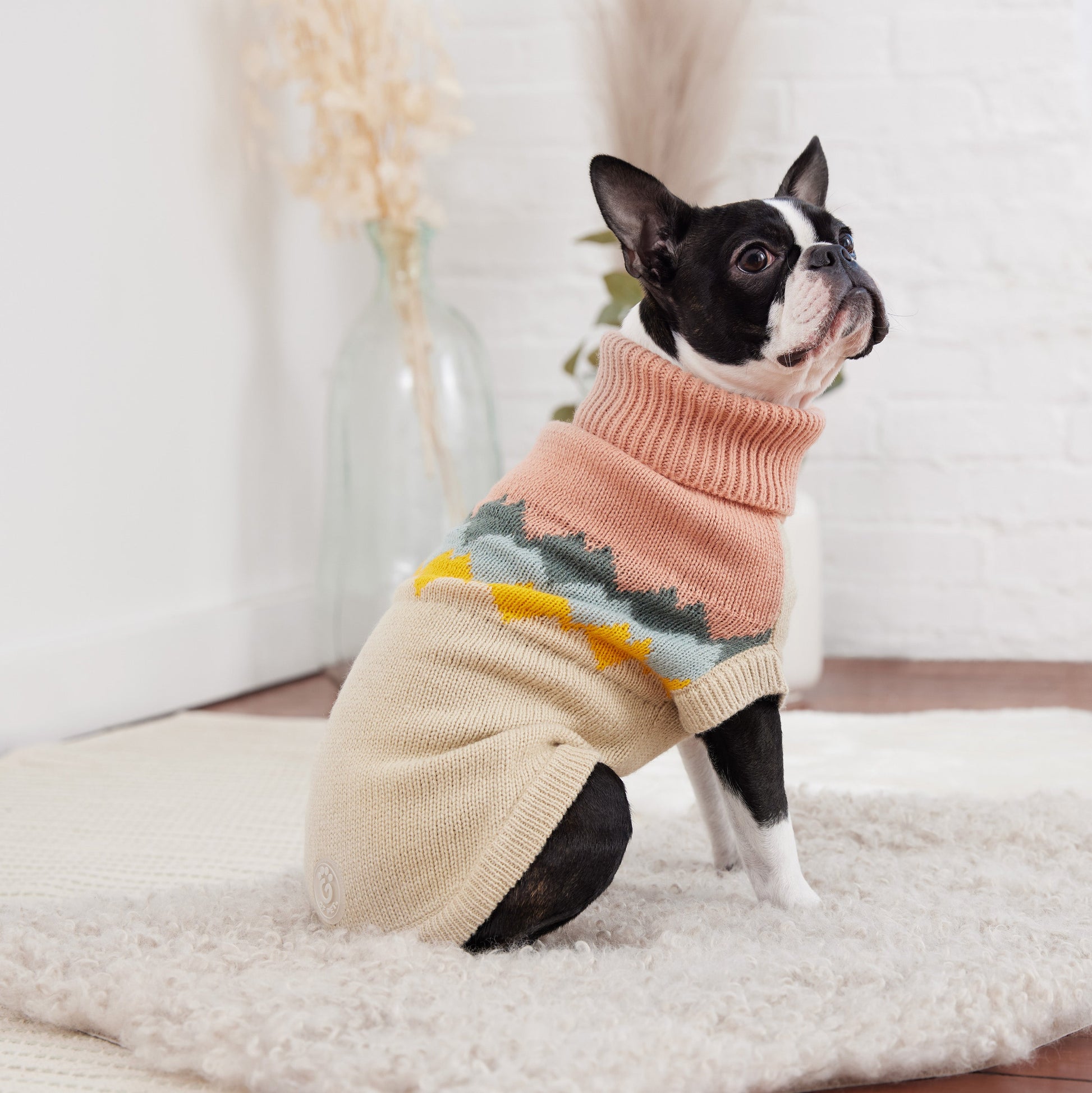 Fireside Sweater Clay Dog Sweaters Premium Pet Supply - close up view