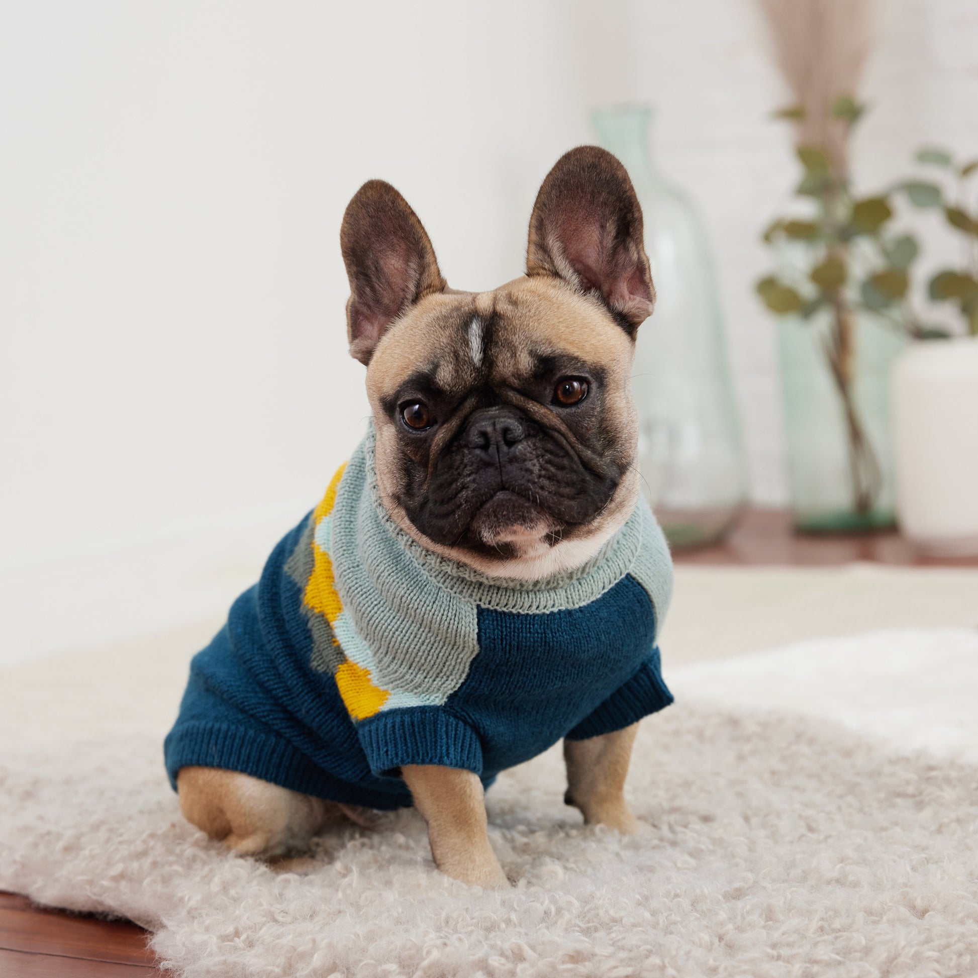 Fireside Sweater Teal Dog Apparel Premium Pet Supply Premium - close up view