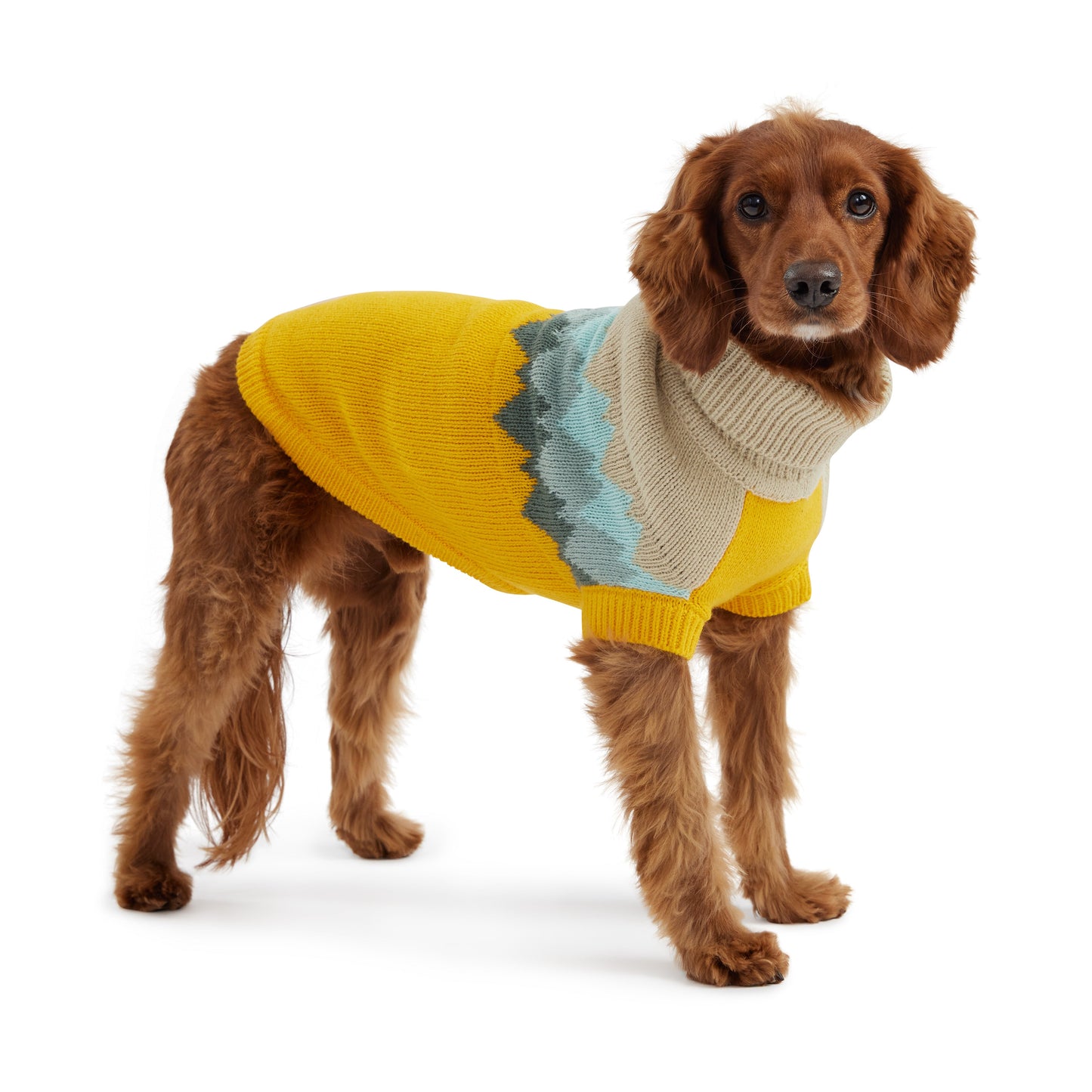 Fireside Sweater Yellow Dog Apparel Premium Pet Supply - detail view