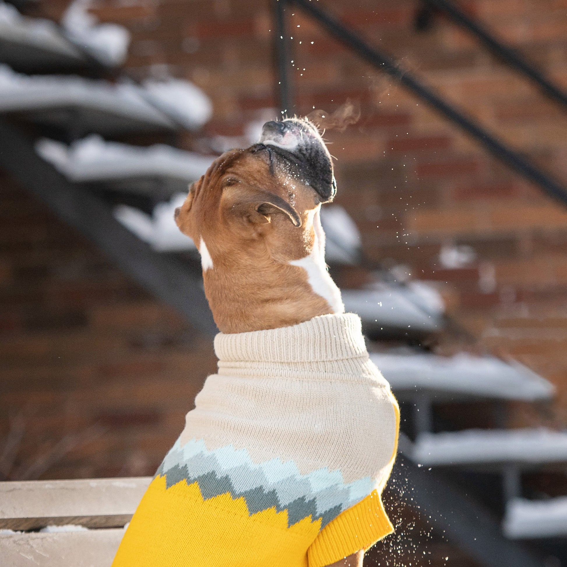Fireside Sweater Yellow Dog Apparel Premium Pet Supply - gallery image 5