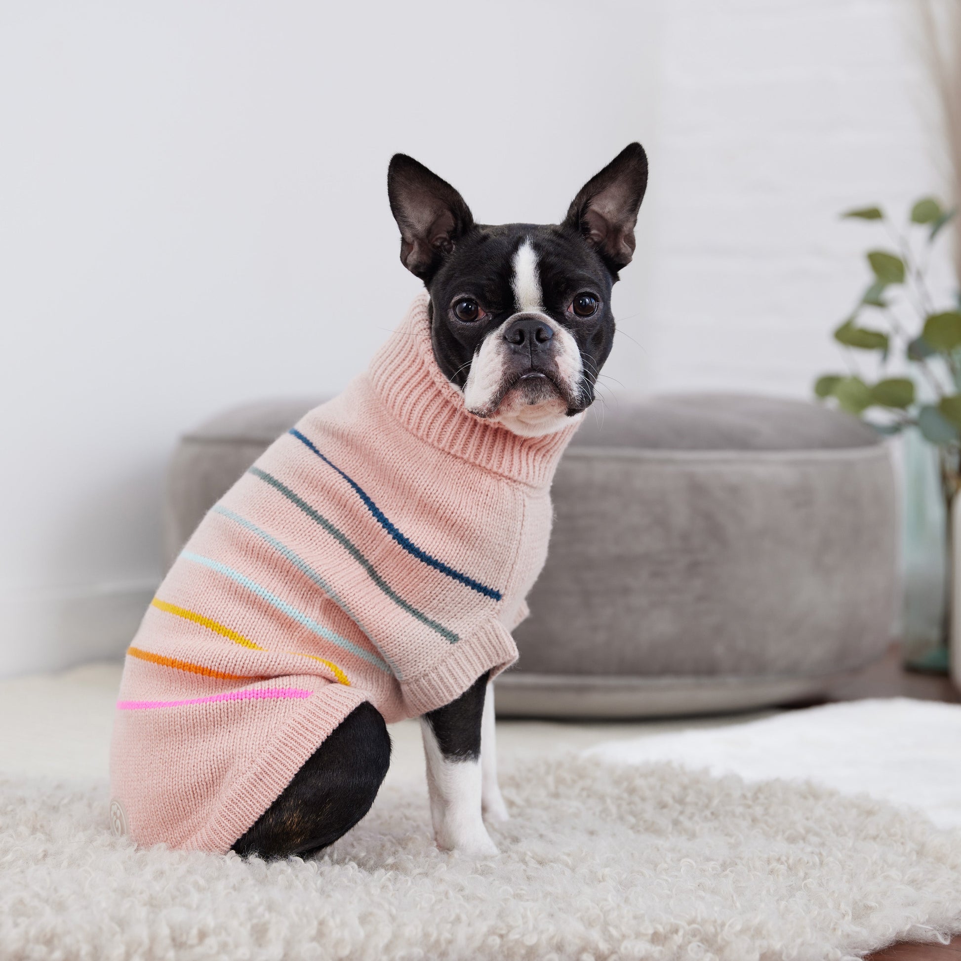 Arctic Sweater - Pink - close up view | Dog Sweaters at Purrfect Pet Kingdom for Dogs and Cats
