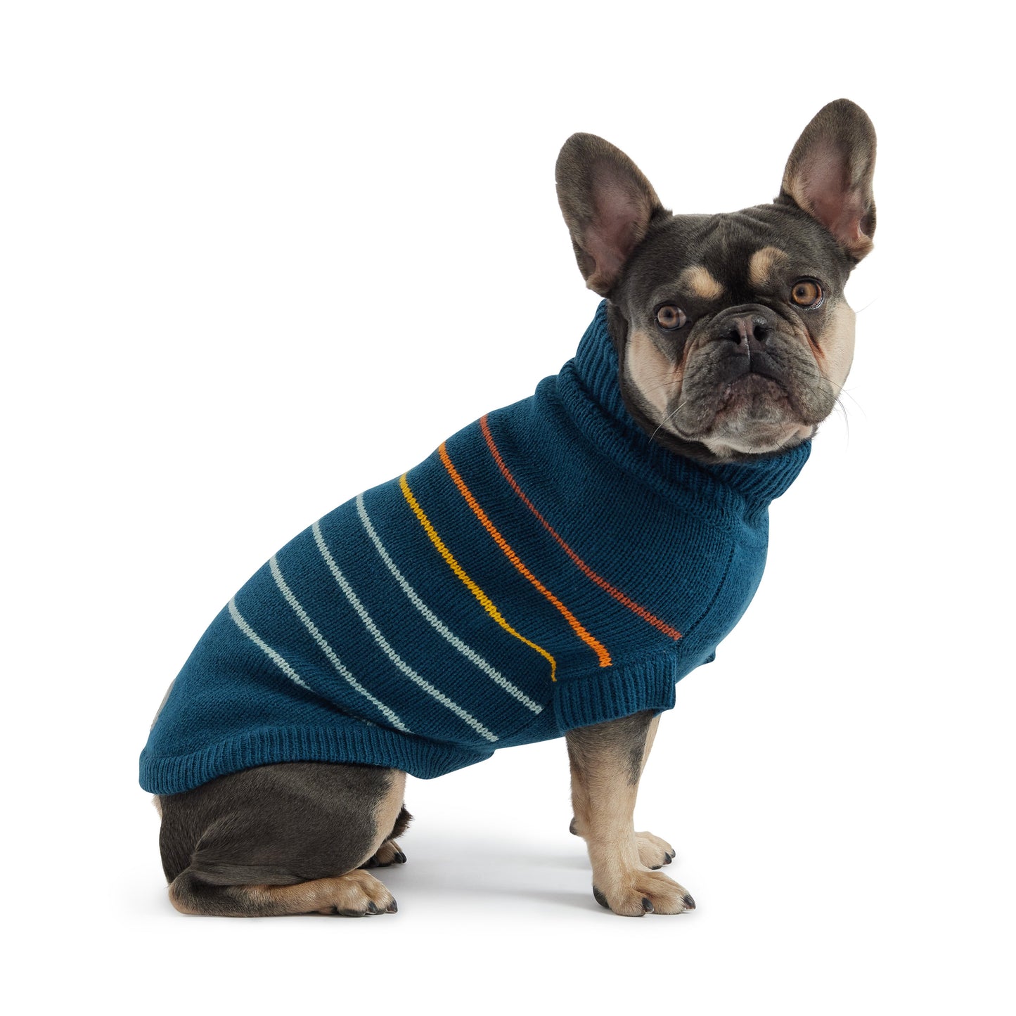 Arctic Sweater - Teal - detail view | Pet Supplies at Purrfect Pet Kingdom for Dogs and Cats