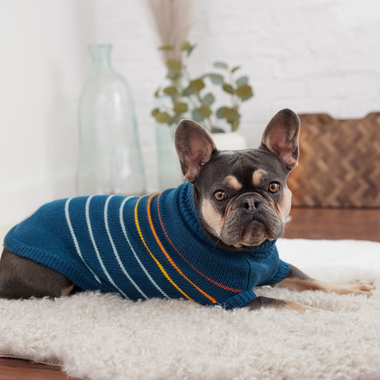 Arctic Sweater - Teal - close up view | Pet Supplies at Purrfect Pet Kingdom for Dogs and Cats