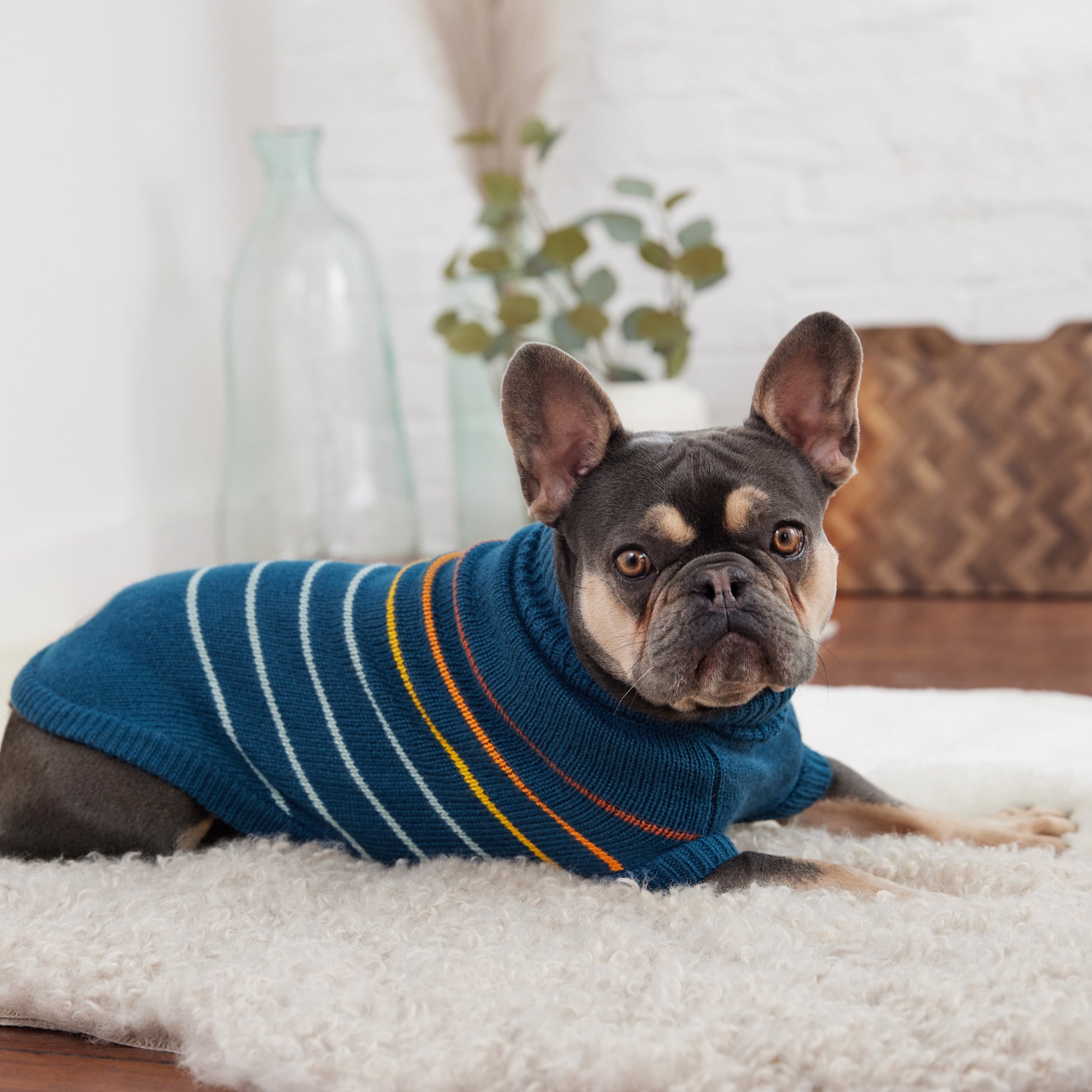 Arctic Sweater - Teal - close up view | Pet Supplies at Purrfect Pet Kingdom for Dogs and Cats