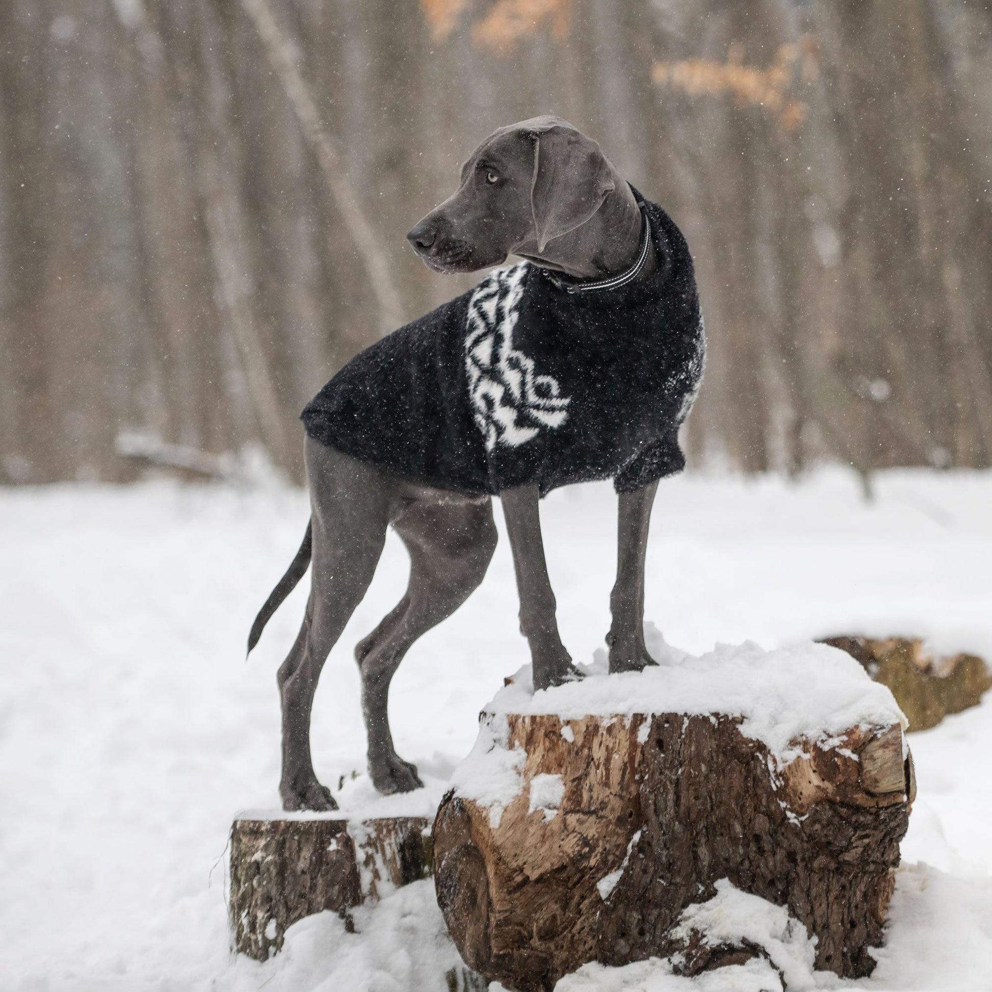 Fuzzy Sweater Dog Sweaters Premium Pet Supply Premium - gallery image 16