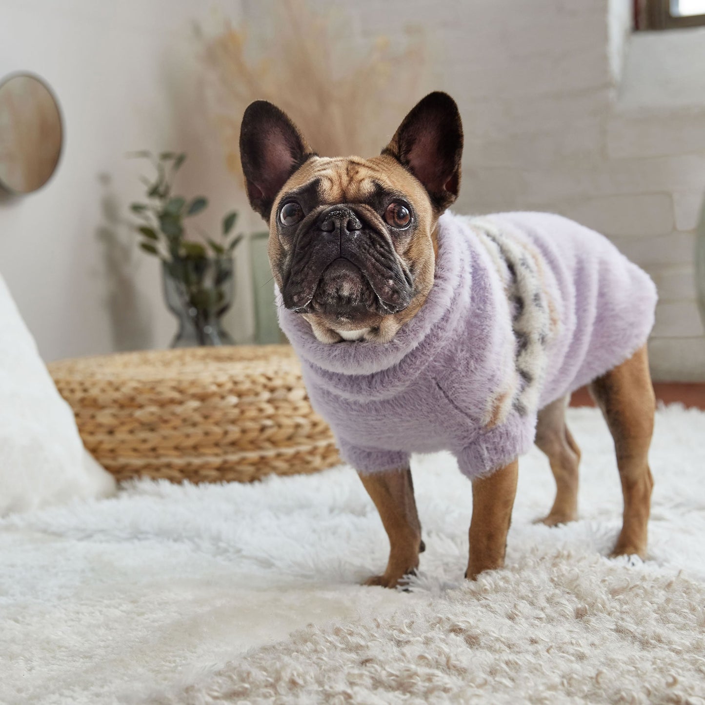 Fuzzy Sweater Dog Sweaters Premium Pet Supply Premium - gallery image 7