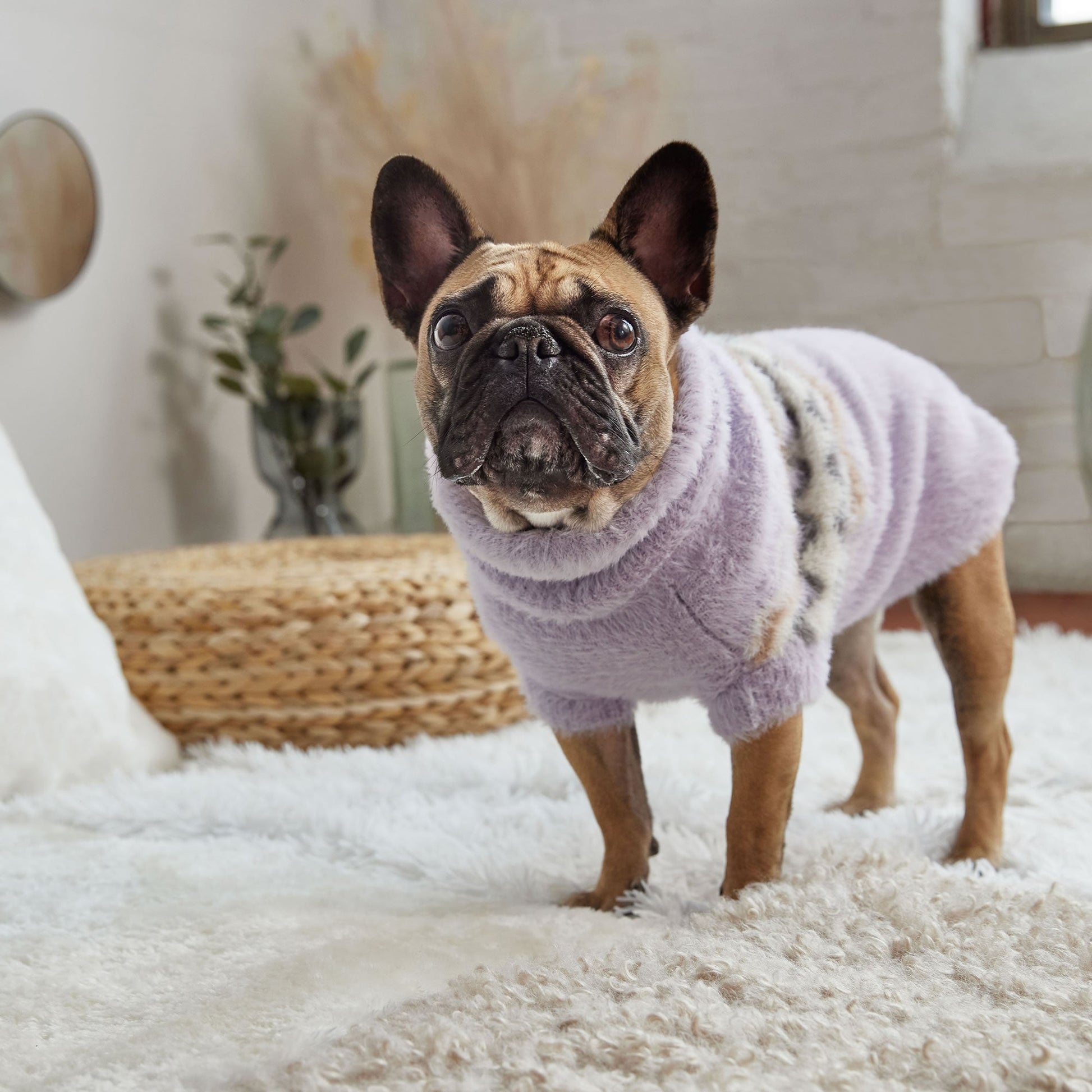 Fuzzy Sweater Dog Sweaters Premium Pet Supply Premium - gallery image 7
