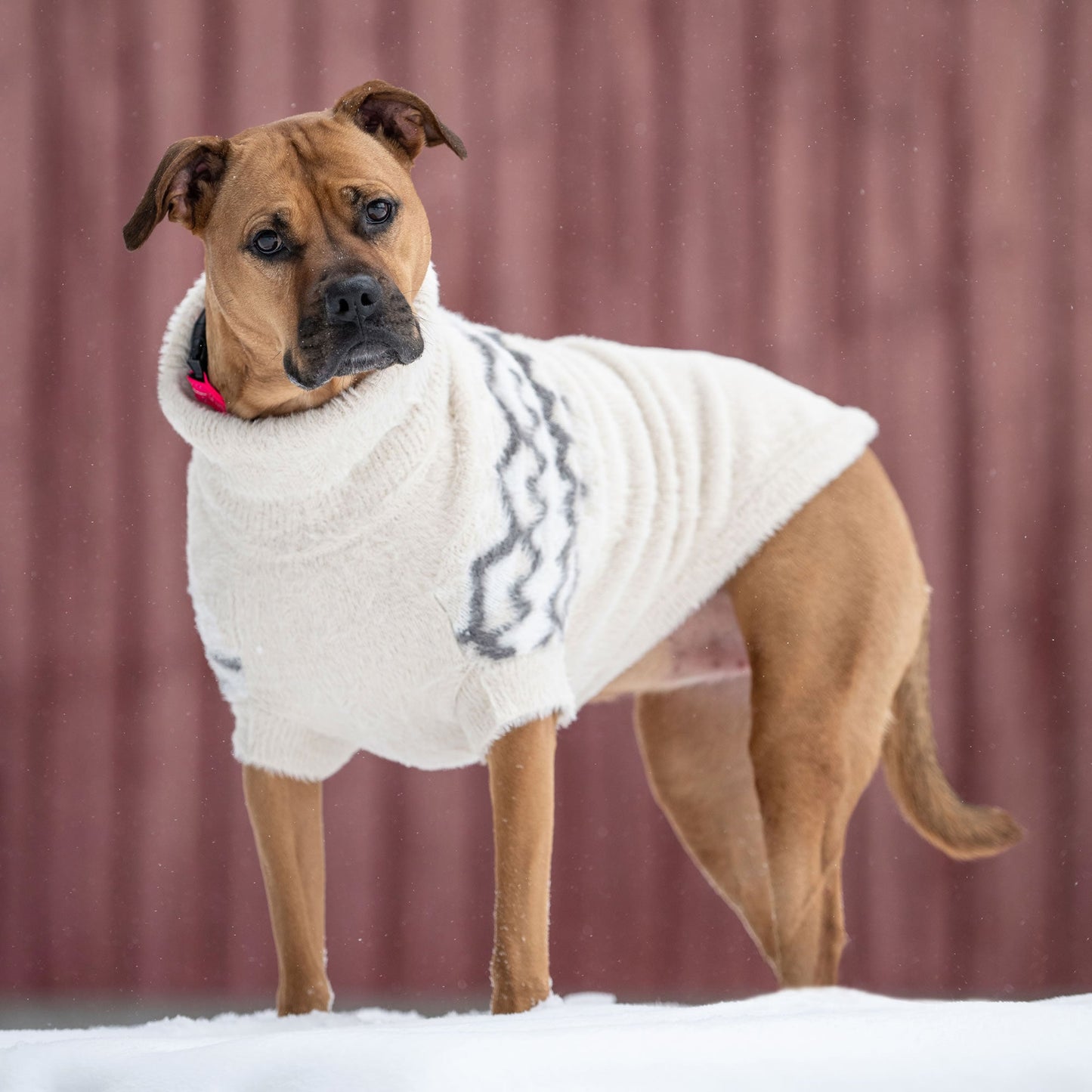 Fuzzy Sweater Dog Sweaters Premium Pet Supply Premium - gallery image 17