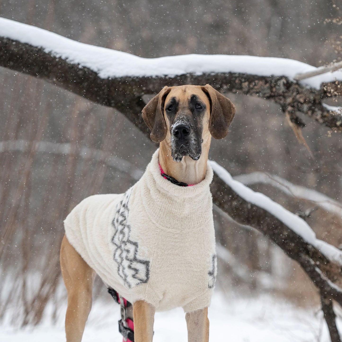 Fuzzy Sweater Dog Sweaters Premium Pet Supply Premium - gallery image 9