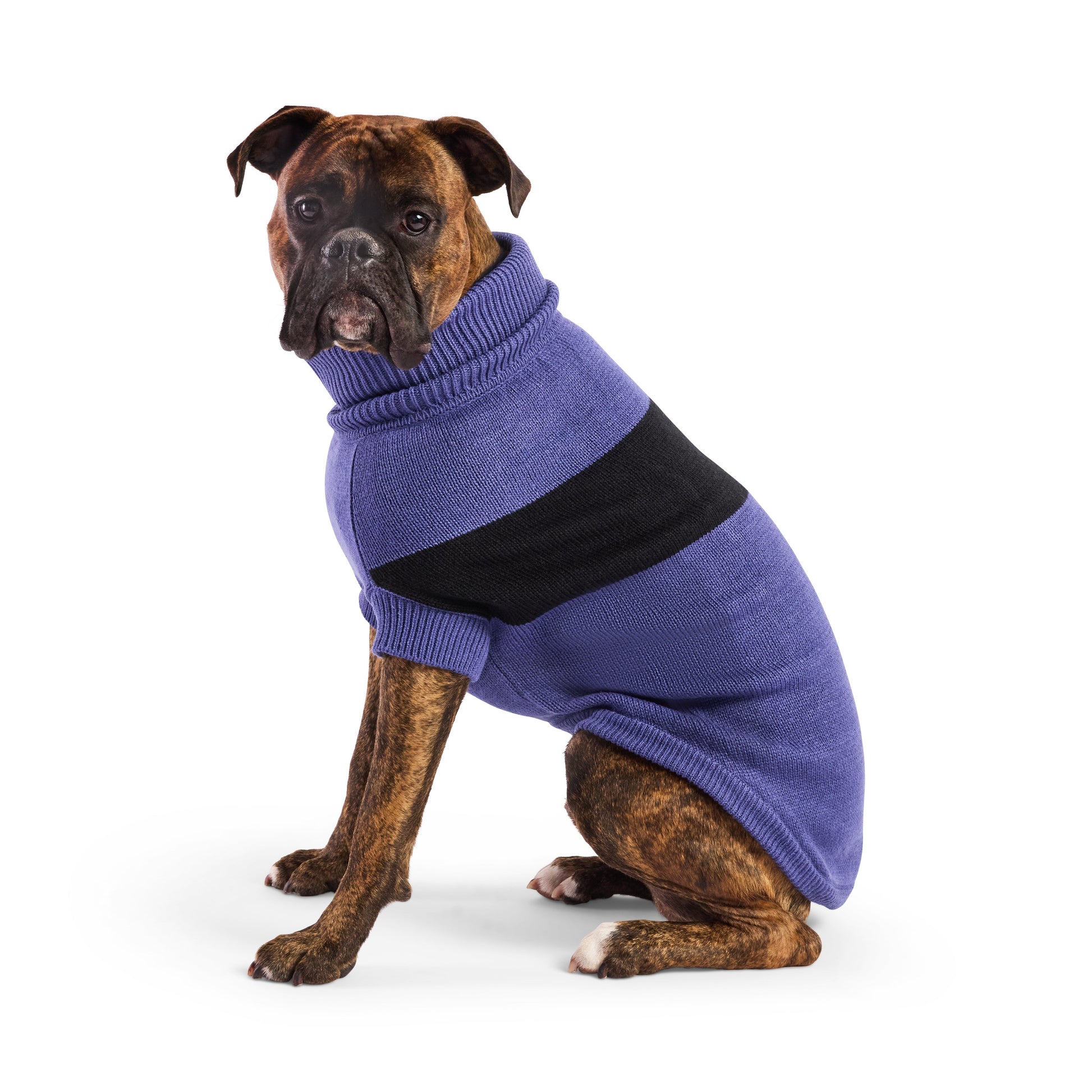 Catalyst Sweater Dog Sweaters Premium Pet Supply Premium - gallery image 8