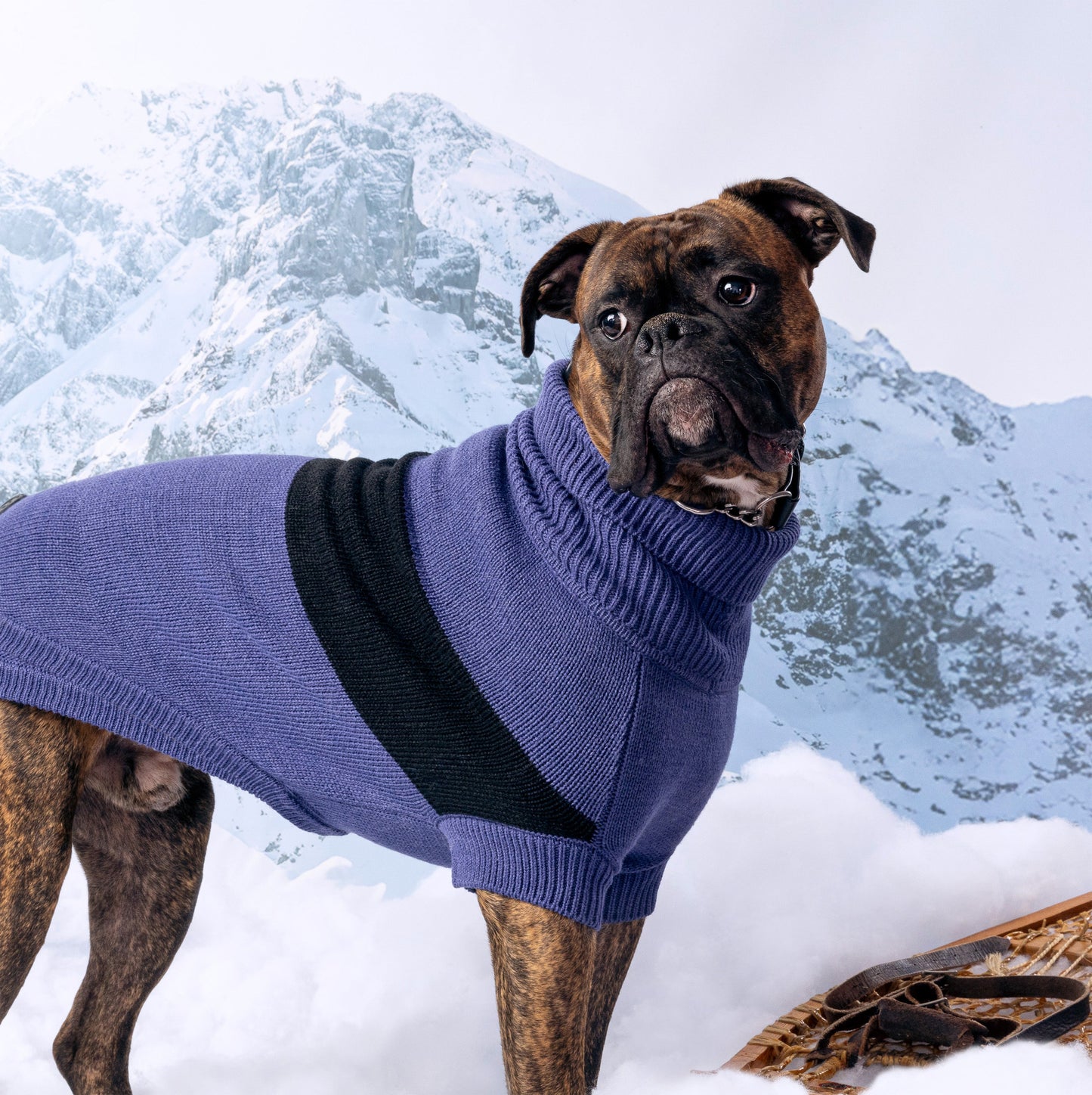 Catalyst Sweater Dog Sweaters Premium Pet Supply Premium - gallery image 9